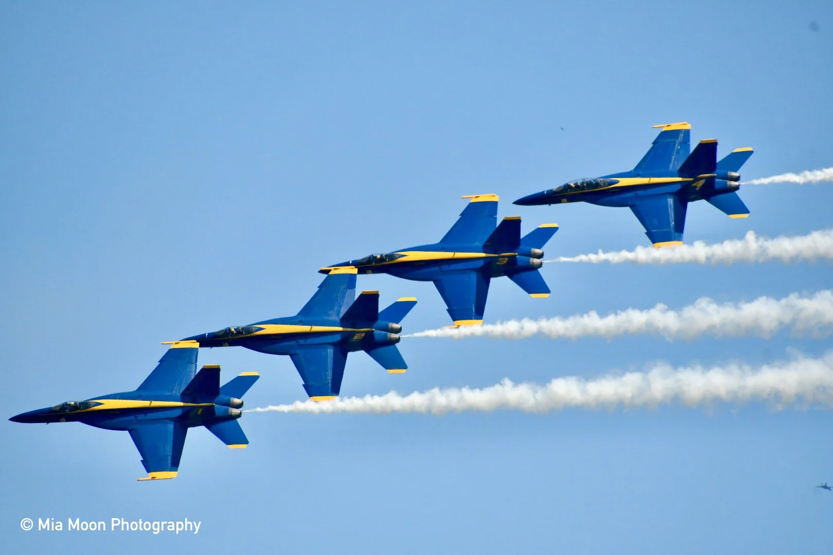 DSC_2131.JPG