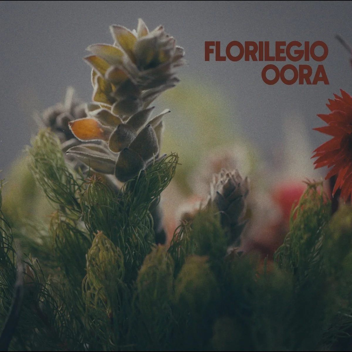 Florilegio