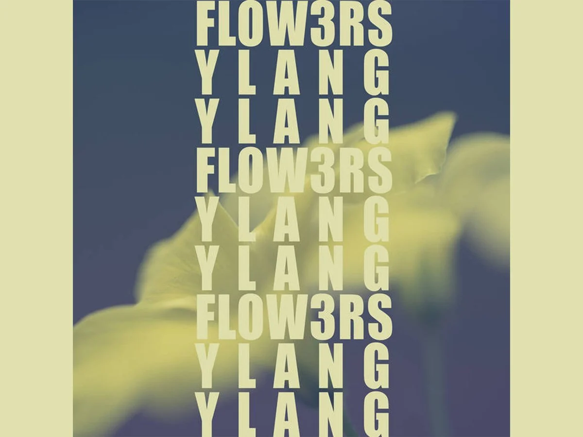 Ylang Ylang