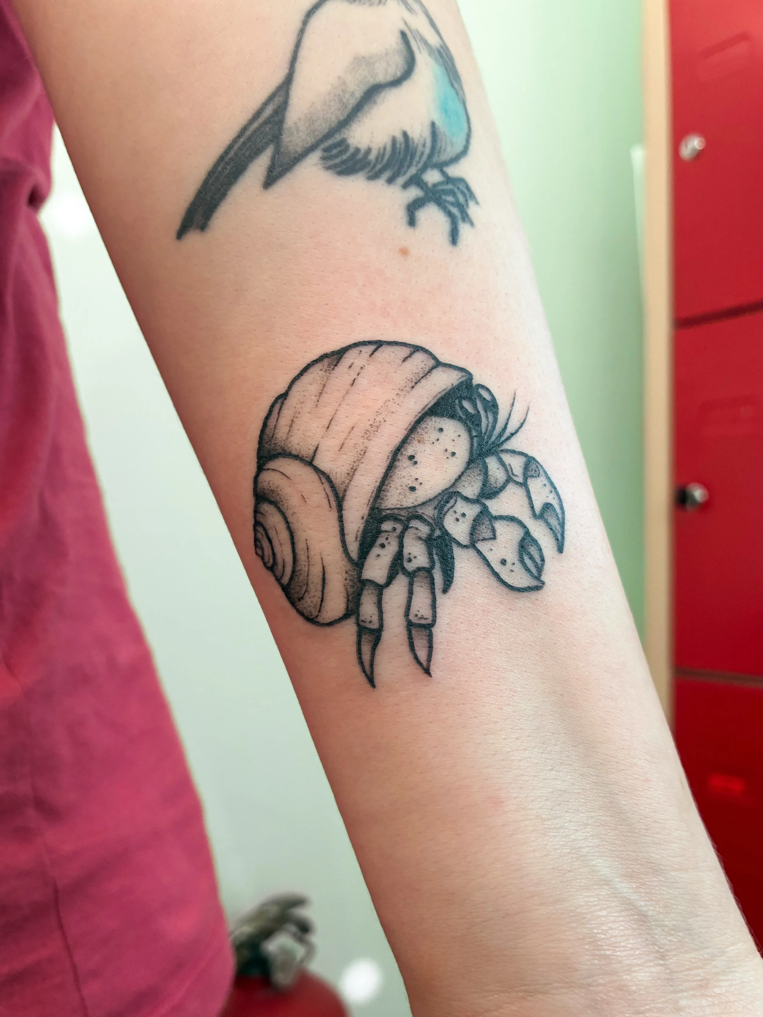 o caranguejo eremita, pra @g4tti &ndash; obrigada por ter escolhido esse desenho dos flashes pra compor a sua cole&ccedil;&atilde;o, e pelo apoio desde sempre nessa minha aventura no mundo da tatuagem! 🥹💙 (passarinho, de 2024, e dinossaurinho, de 2