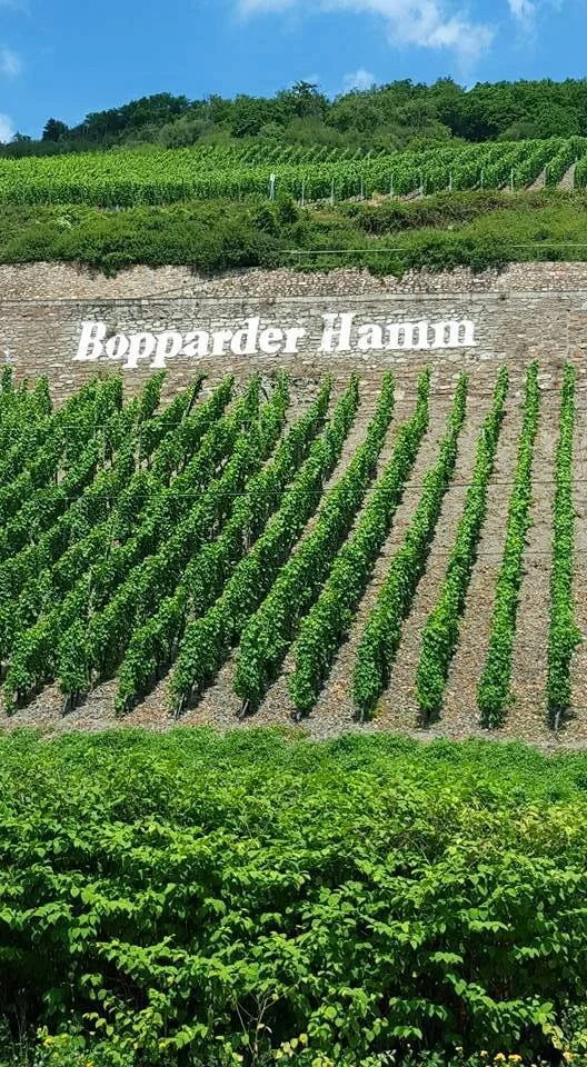 wijnproeverij 1.jpeg