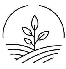 Geometric drawing of an outline square with sections divided by vertical, horizontal, and diagonal lines.