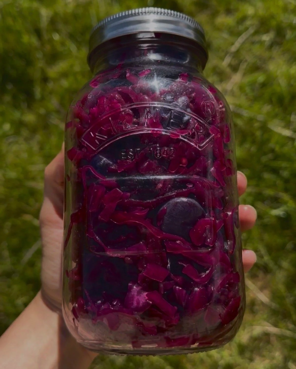 Fermented Blueberry Sauerkraut