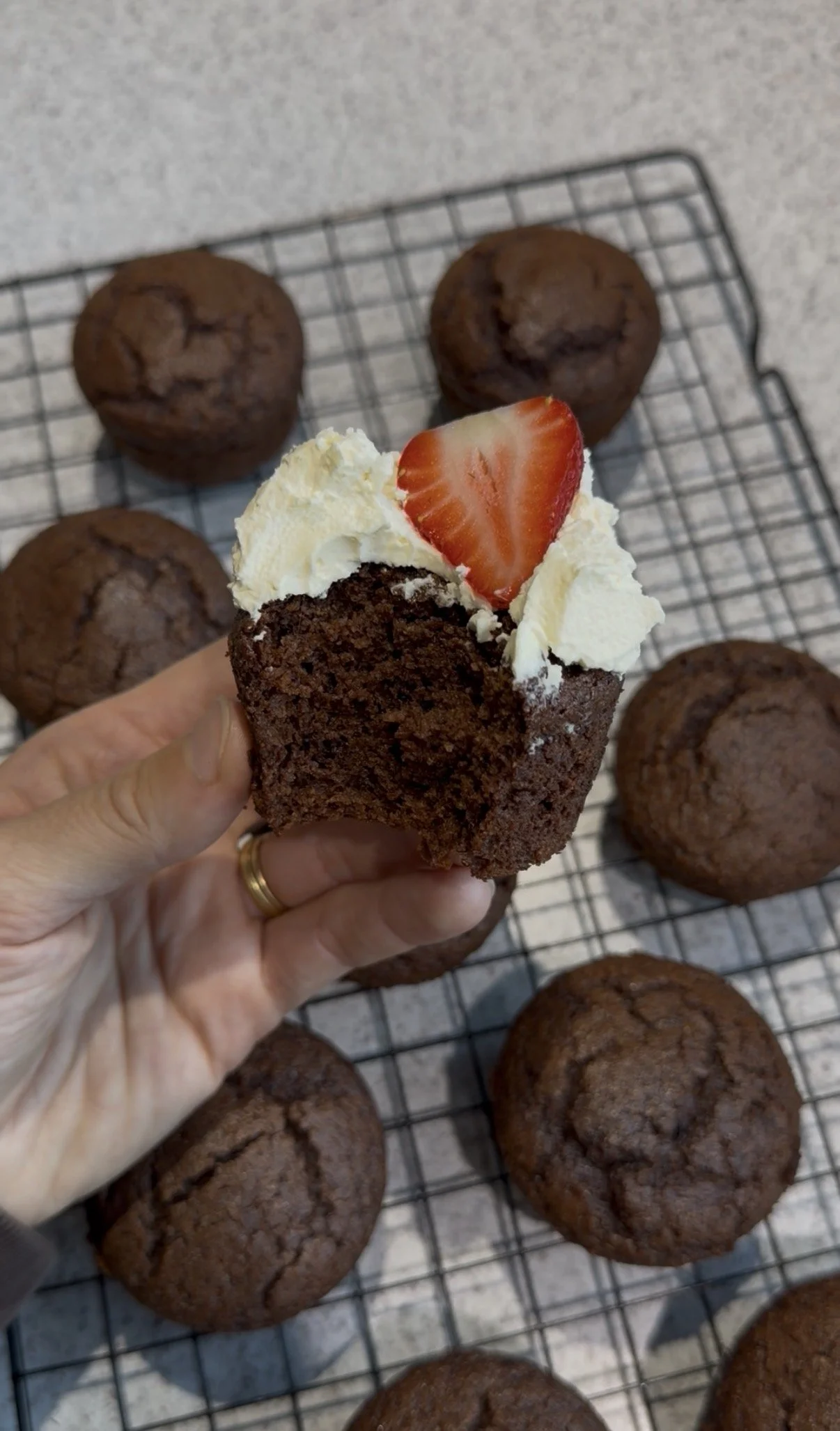 Moist Chocolate Muffins