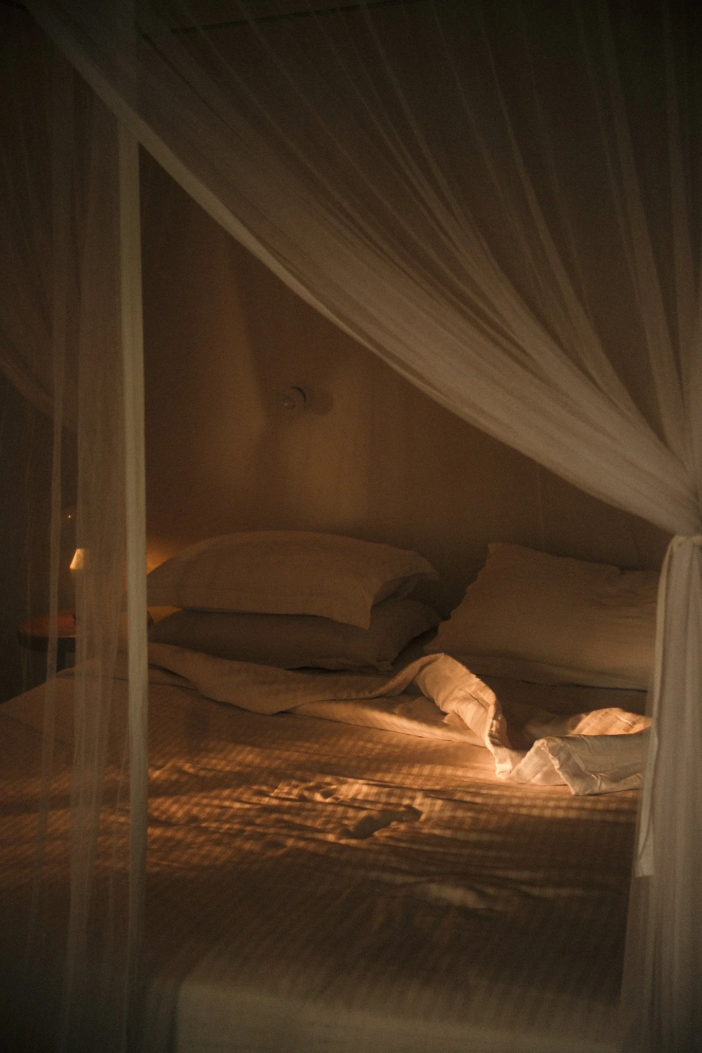 Latitude Therapy : A guide to feeling something again