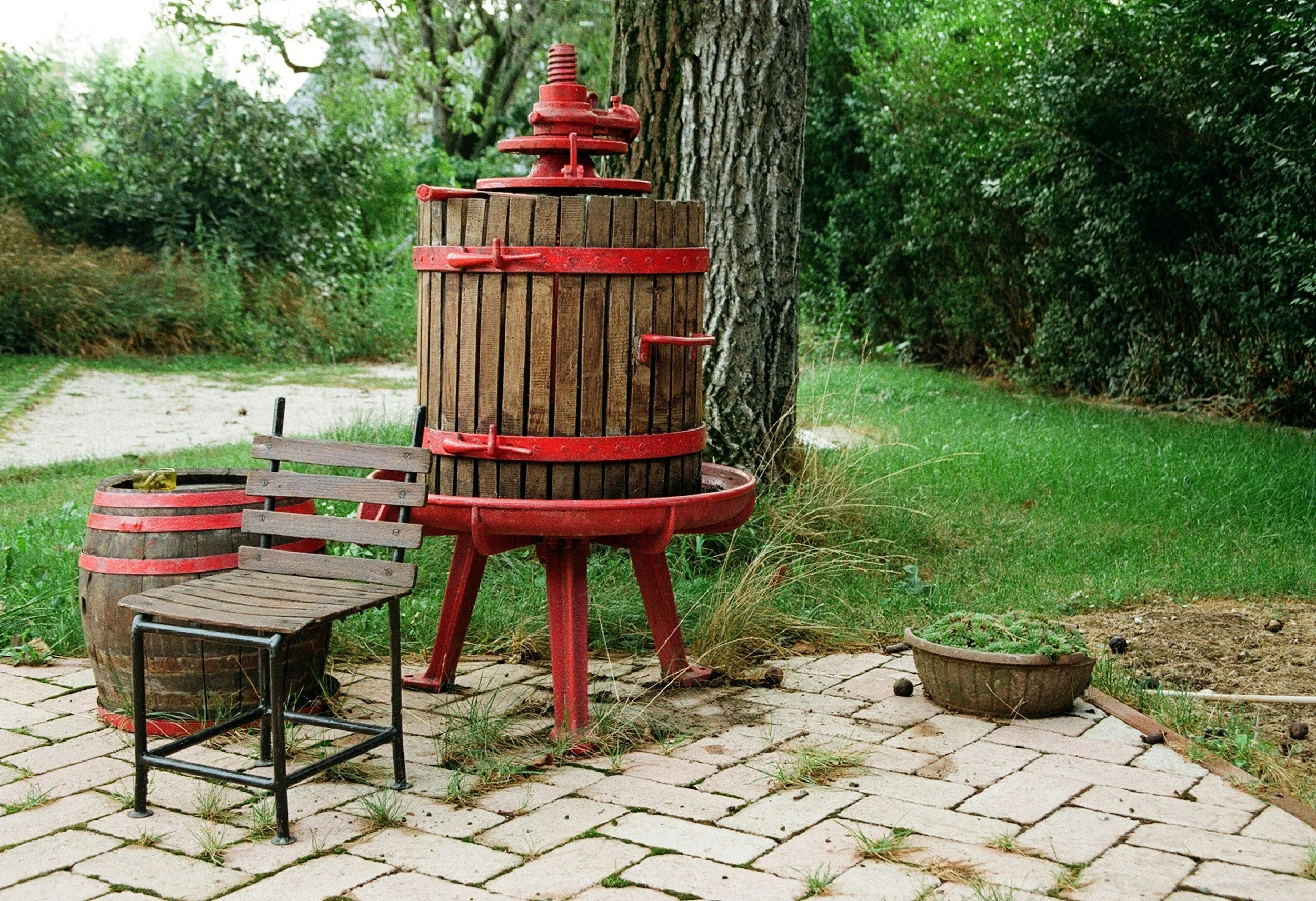 Wine Presses: Everything You Need to Know About This Essential Winemaking Tool