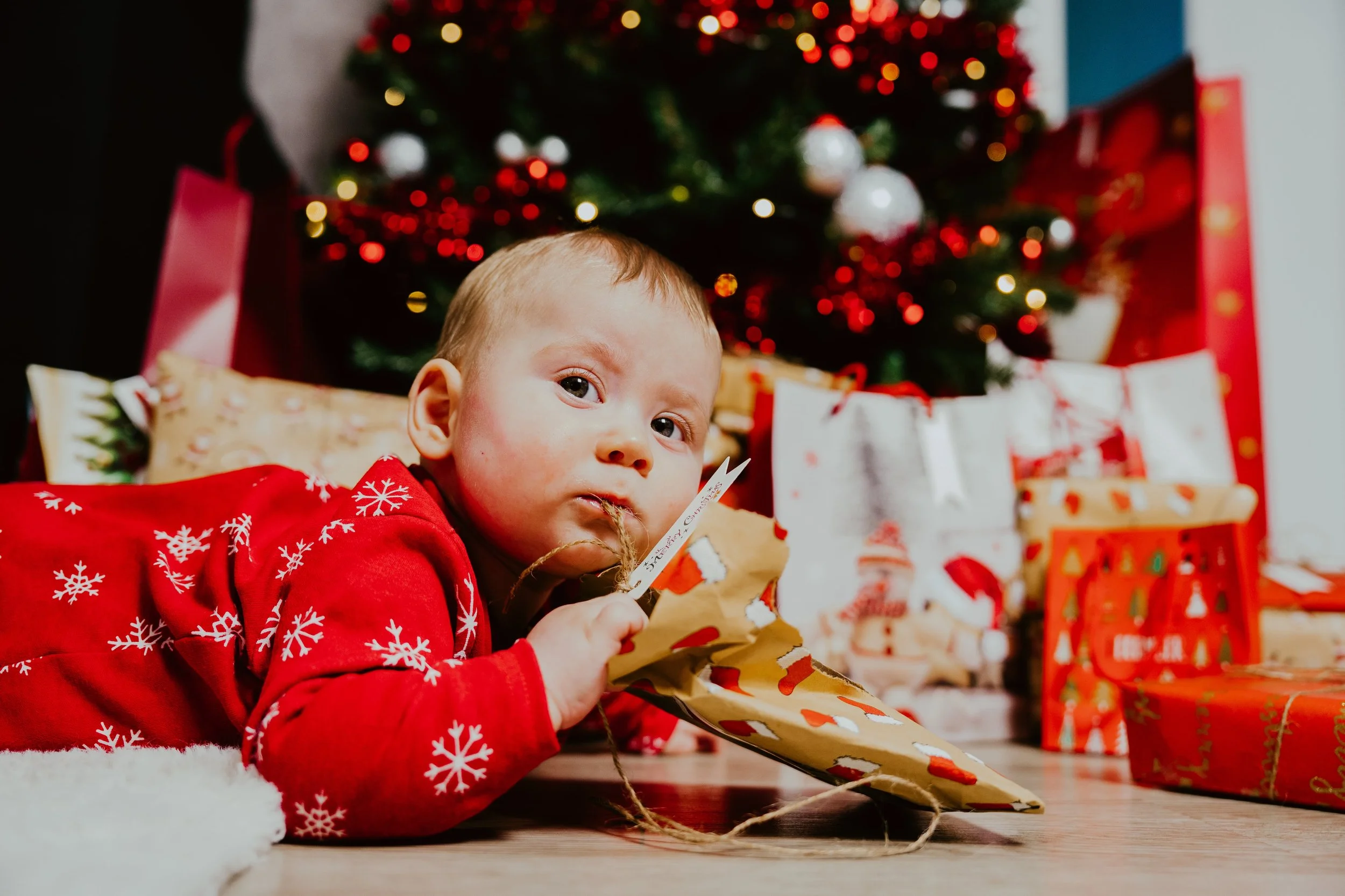 DSC07853-minBohouš a Adéla - rodinné vánoční focení Dyguen.jpg