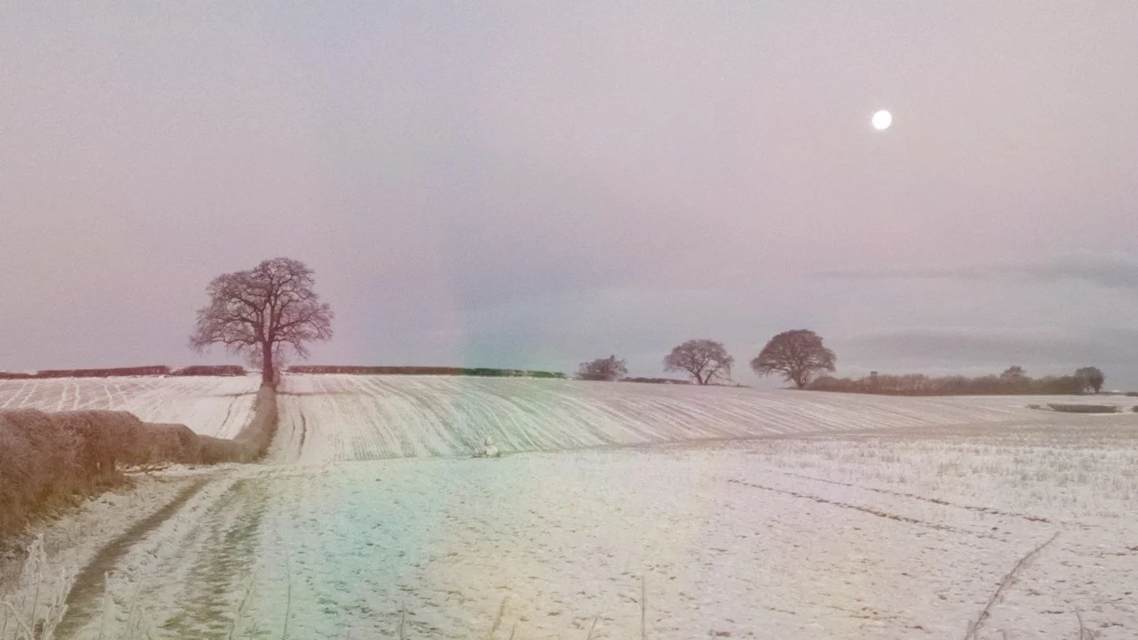A snowy field with a tree in the foreground and several trees in the background, under a cloudy sky with the moon visible. Maria Mountain - Intimacy and Connection Coach near Maria Mountains house