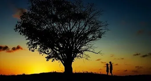 A sunset scene with a large tree and two people standing together under it. Maria Mountain - Intimacy and Connection Coach. Couples Intimacy Coachin