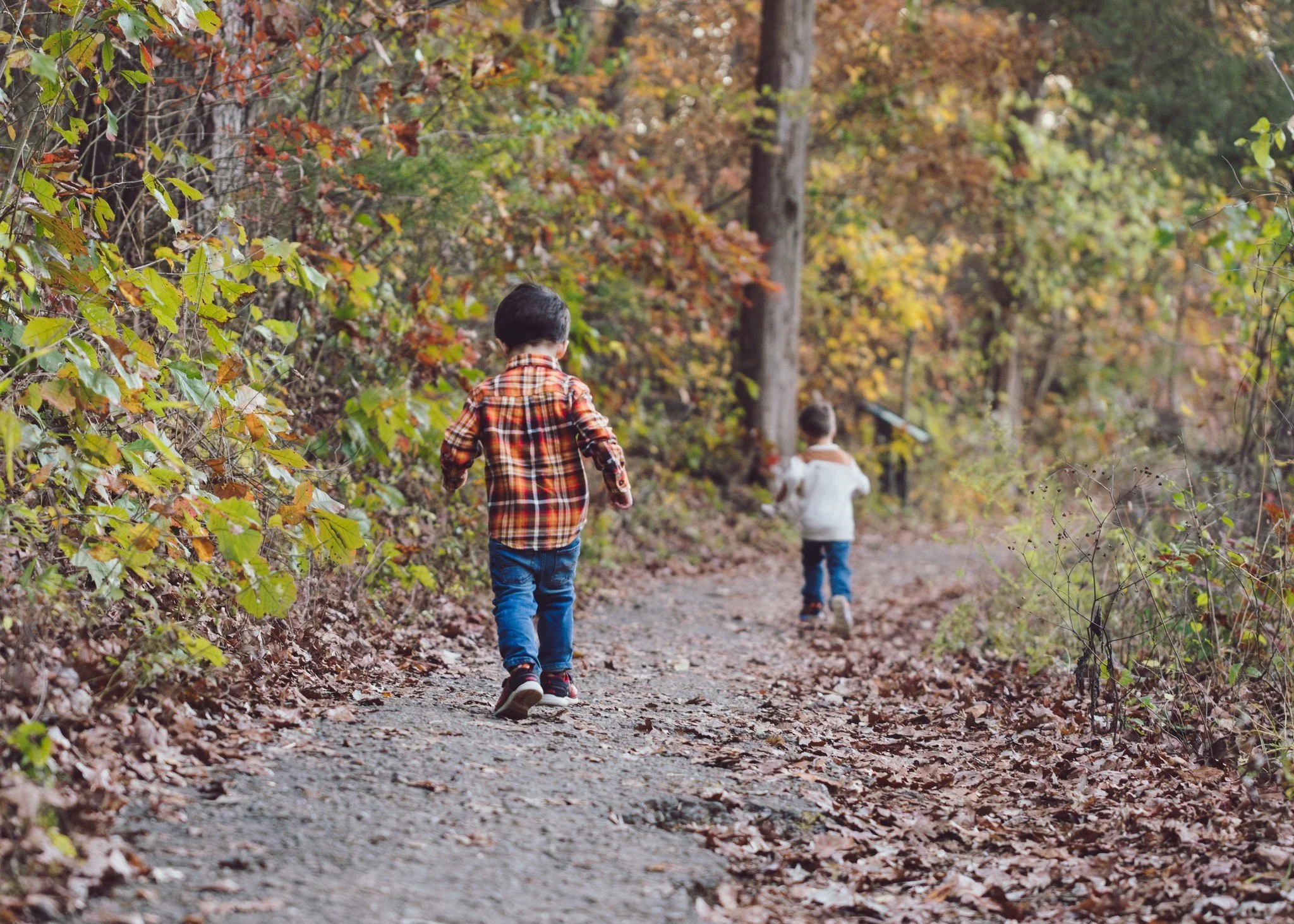 We know all the spots for autumn vibes! 

 #clarksvilletnlocal #autumnvibes #clarksvillefamilyphotographer #nashvillephotographers #timmonsproductions #clarksvilletn #clarksvillephotographer