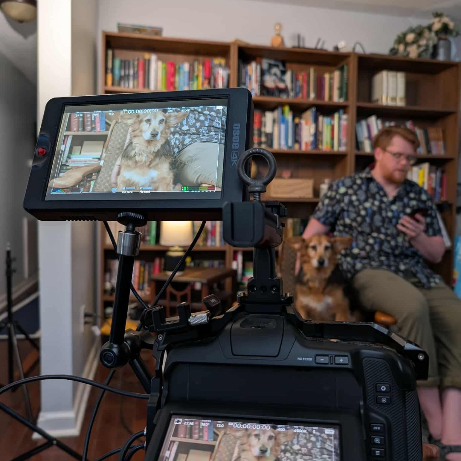 We did some test lighting and shots for an upcoming project the other day. Check out the sweet Timmons Productions pup in the shot!

 #productiondesign #behindthescenes #clarksvilletnlocal #nashvilletn #clarksvillefamilyphotographer #timmonsproductio