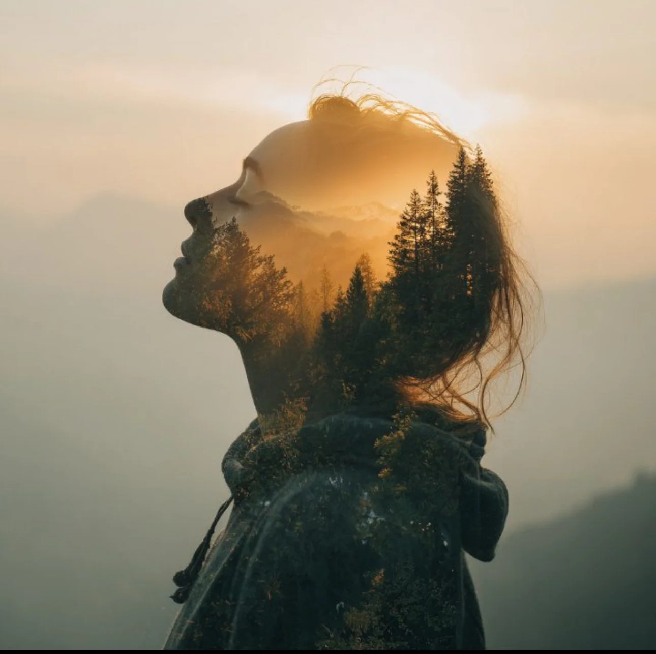 The Art of Staying Series: Post 1 - Coming Home to Safety