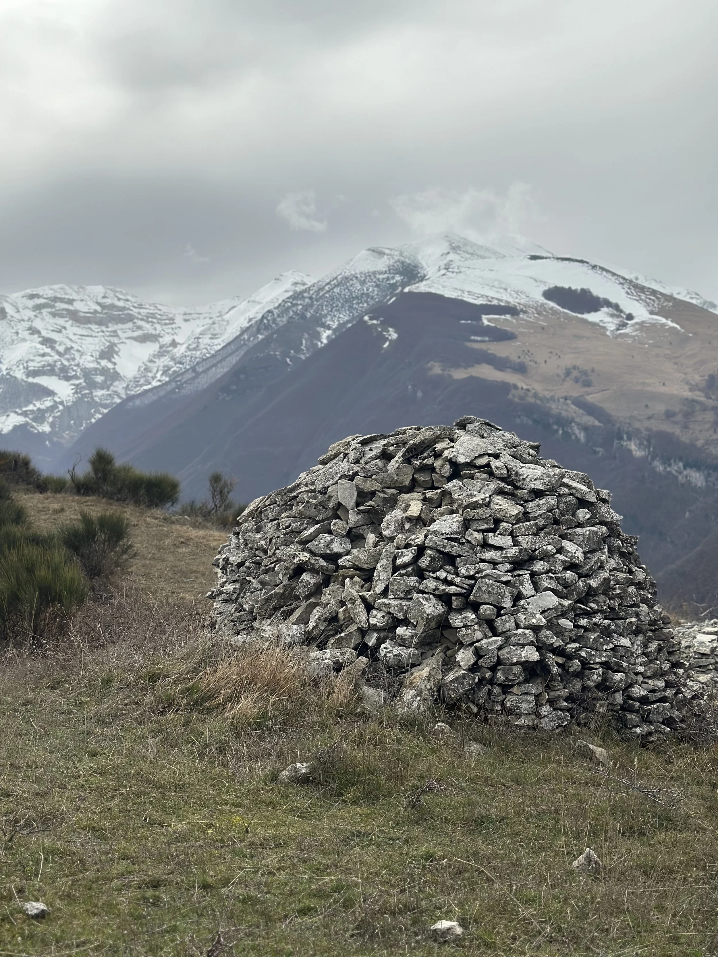 Too much, too fast…