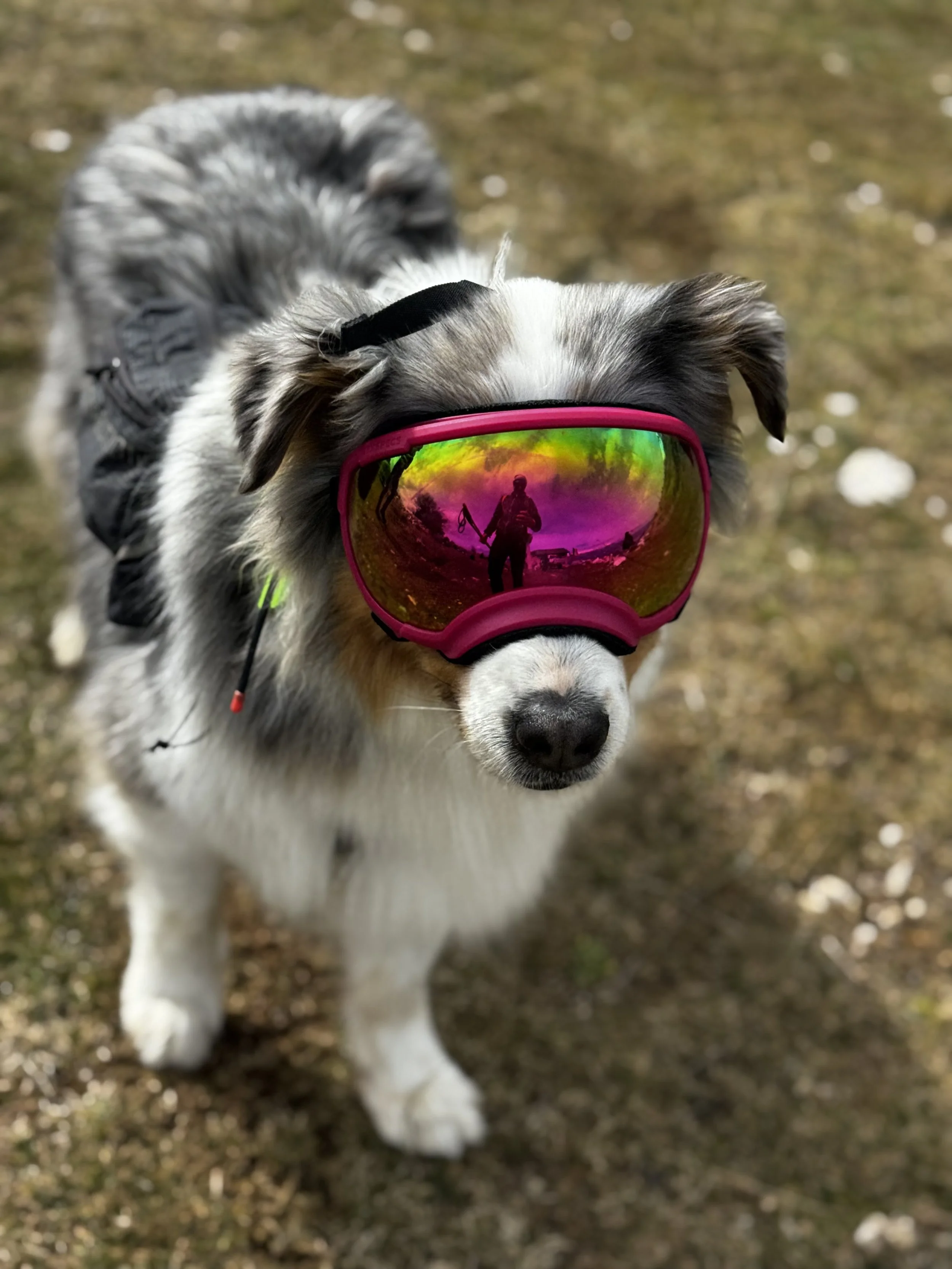 You've tried meditating.