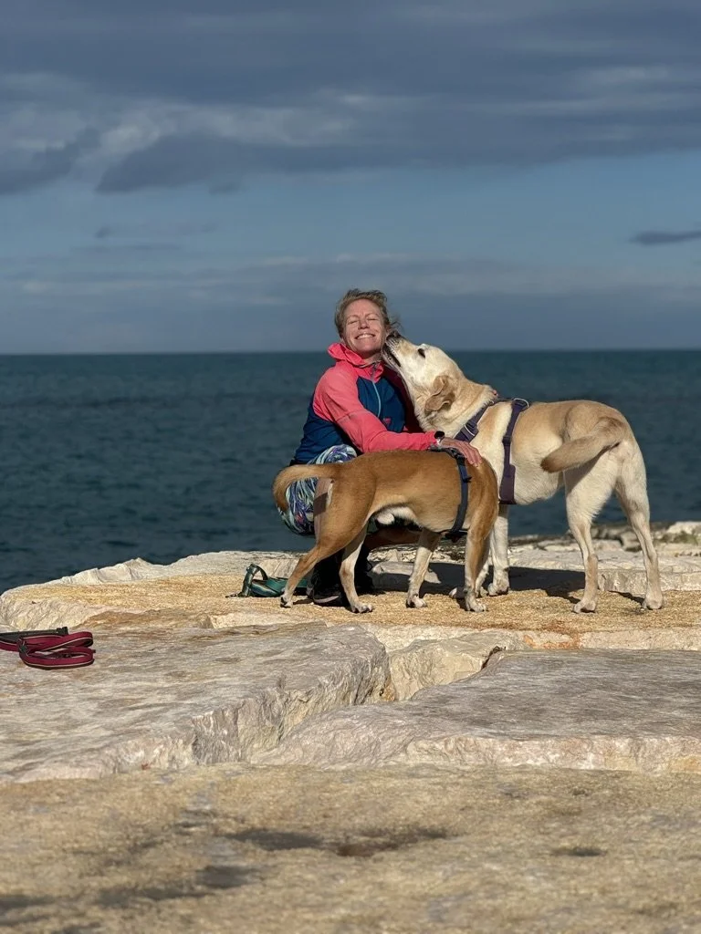 Person sitting on rocks with two dogs by the sea