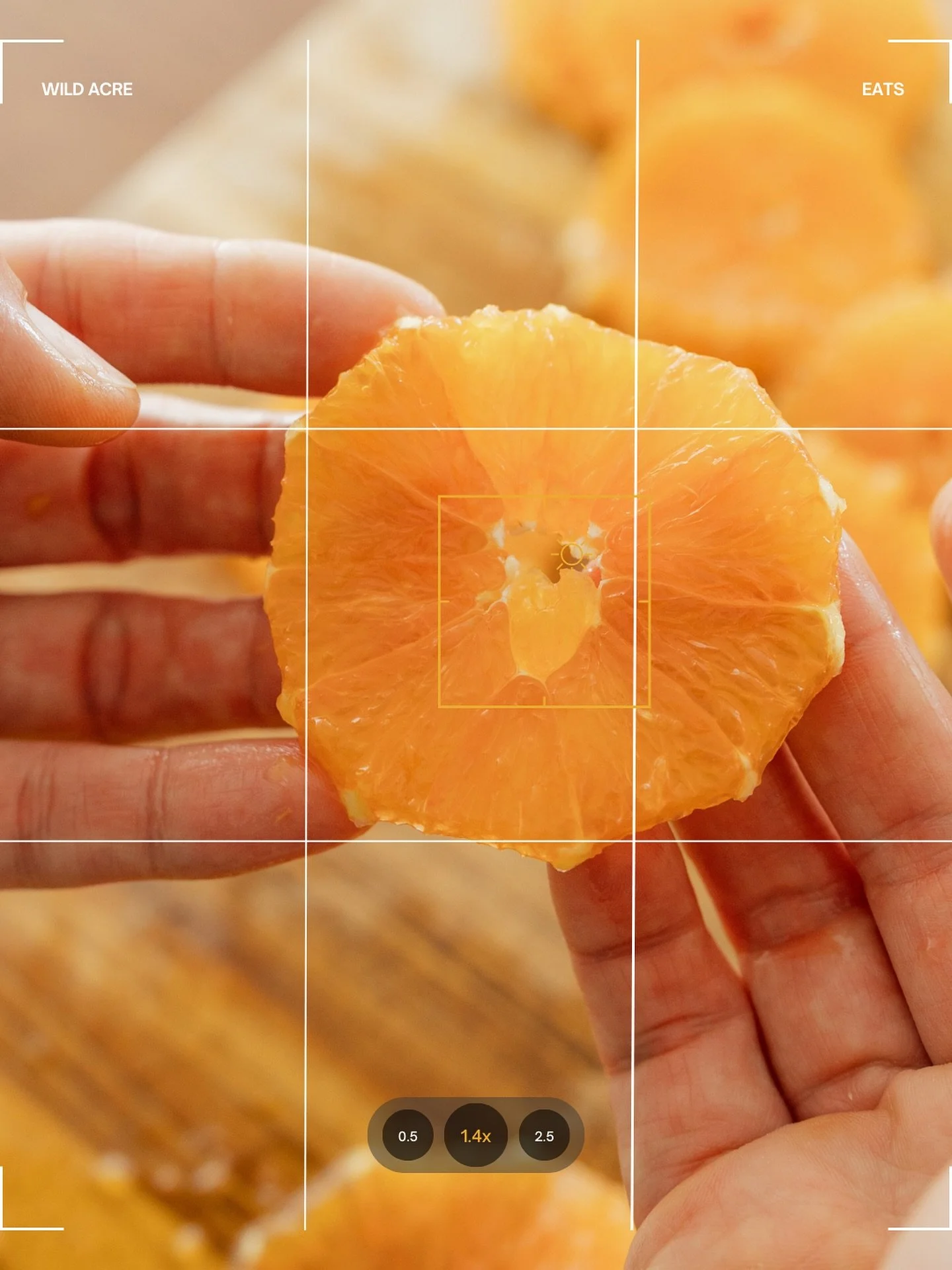 Some things reveal themselves only when you slow down enough to notice.

This is how we cook.
This is how we gather.

When you see it, leave a 🧡 in the comments

#TheWildAcre #WildAcreEats #WellingtonFL #palmbeachfoodie