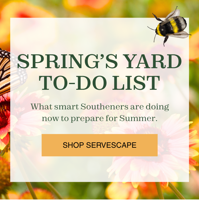 ServeScape++Most+Important+Gardening+Tips+in+April+pt.+2.png