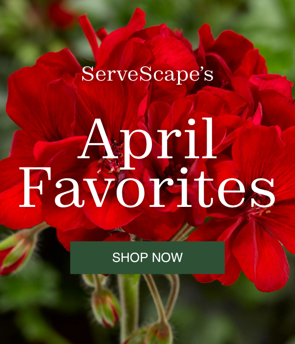 ServeScape  Spring Bloomers April Arrivals.png