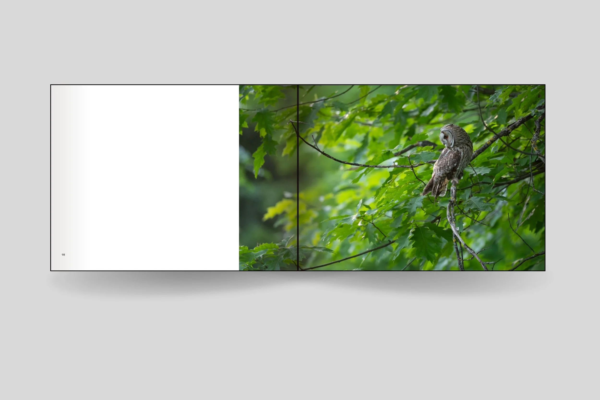 Design sans titre(5).jpg