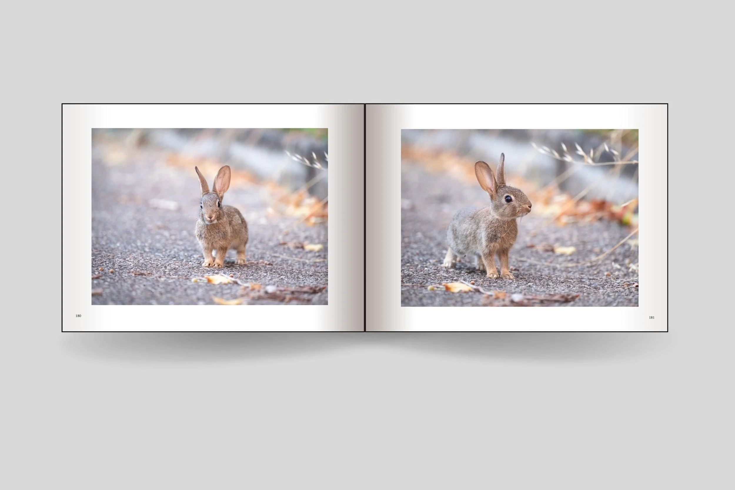 Design sans titre(7).jpg