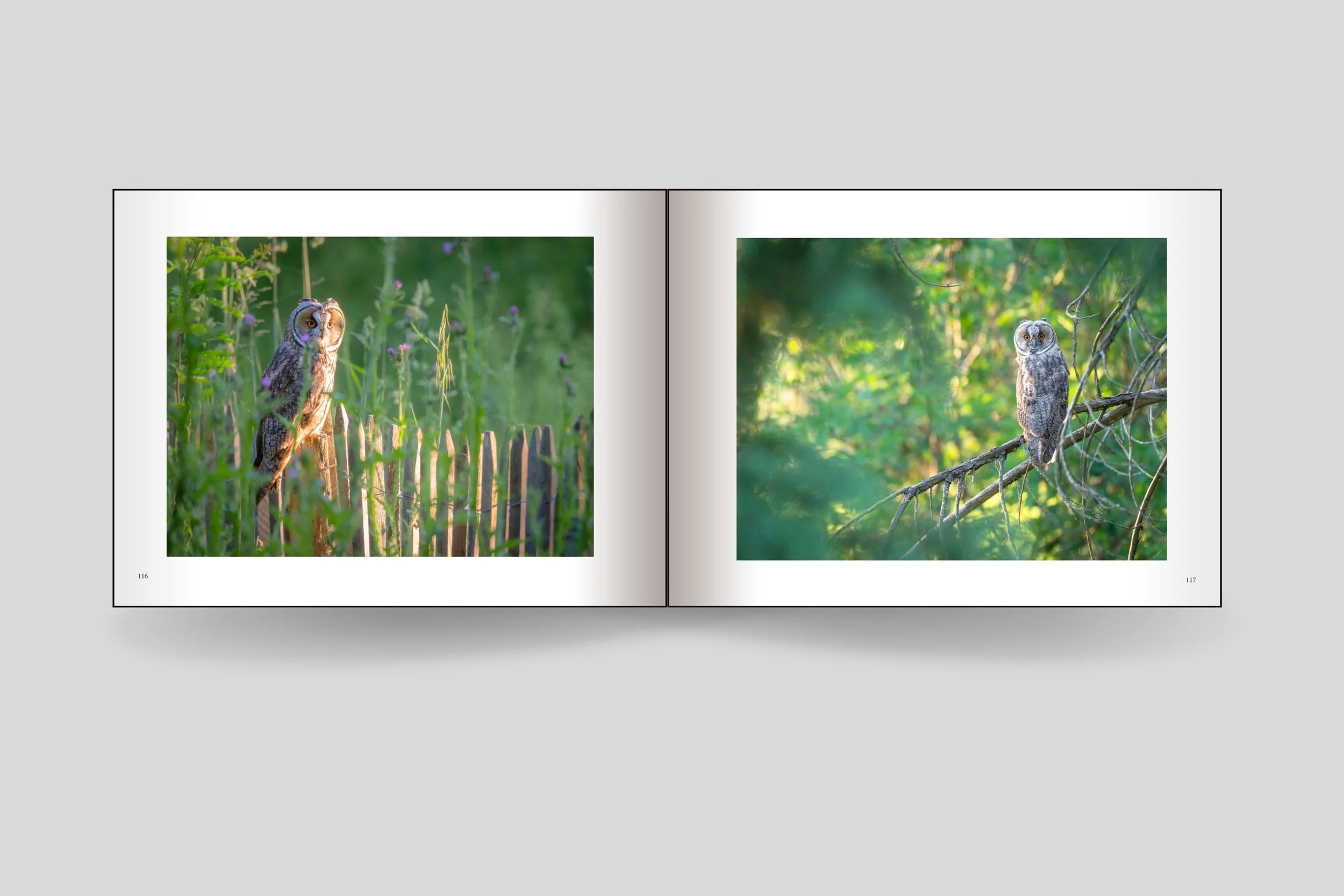 Design sans titre(6).jpg