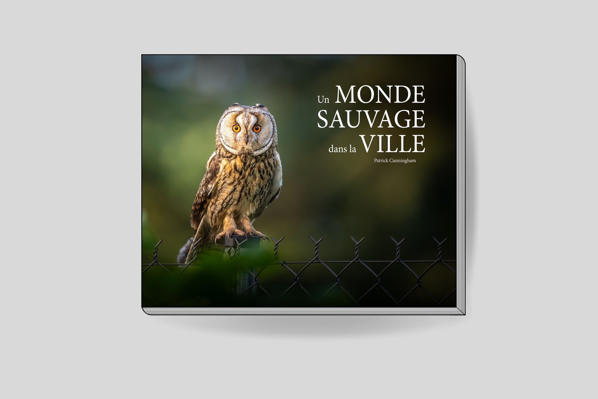 Livre "un MONDE SAUVAGE dans la VILLE" (Précommande)