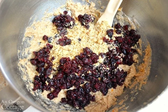 Cranberry-Bread-Recipe-mixing-dough-add-ins_650.jpg