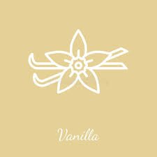 Vanilla Fudge Mix