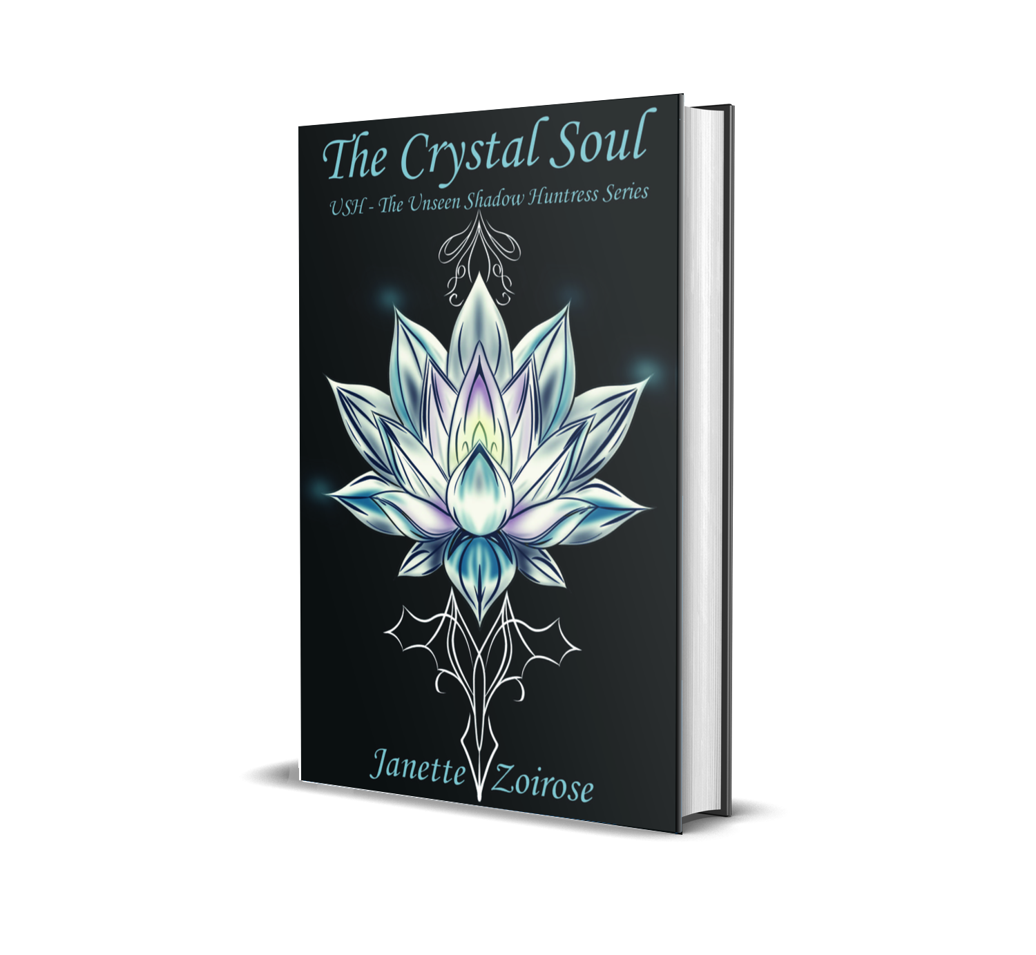 Hardcover1.png