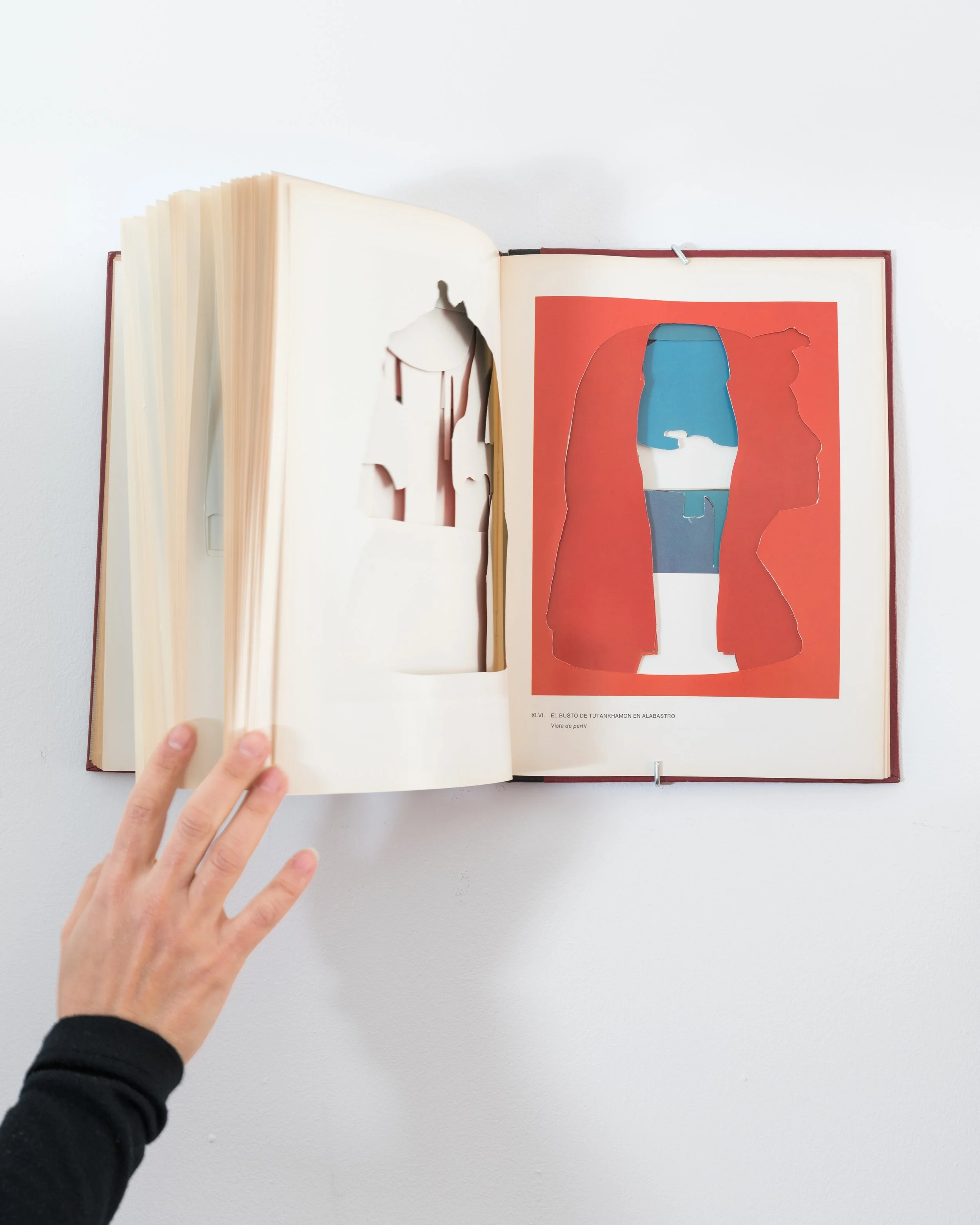 Ilgaz Lo nuevo NT3-45-9699.jpg