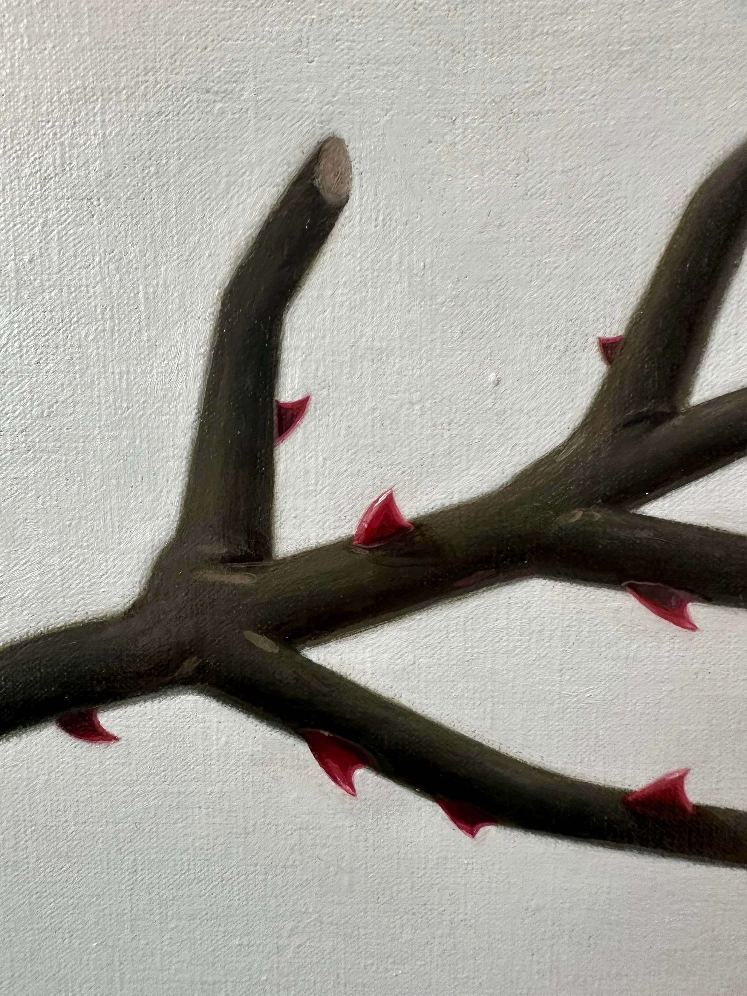 Detalle _Rosal_.jpeg