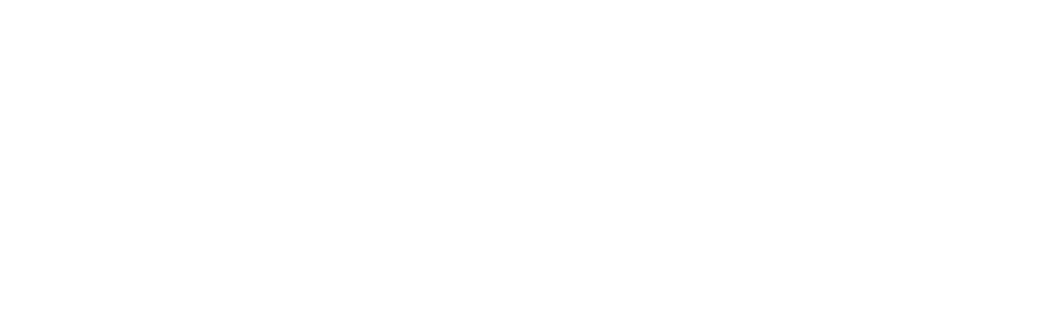 Brzezinski Global Strategies