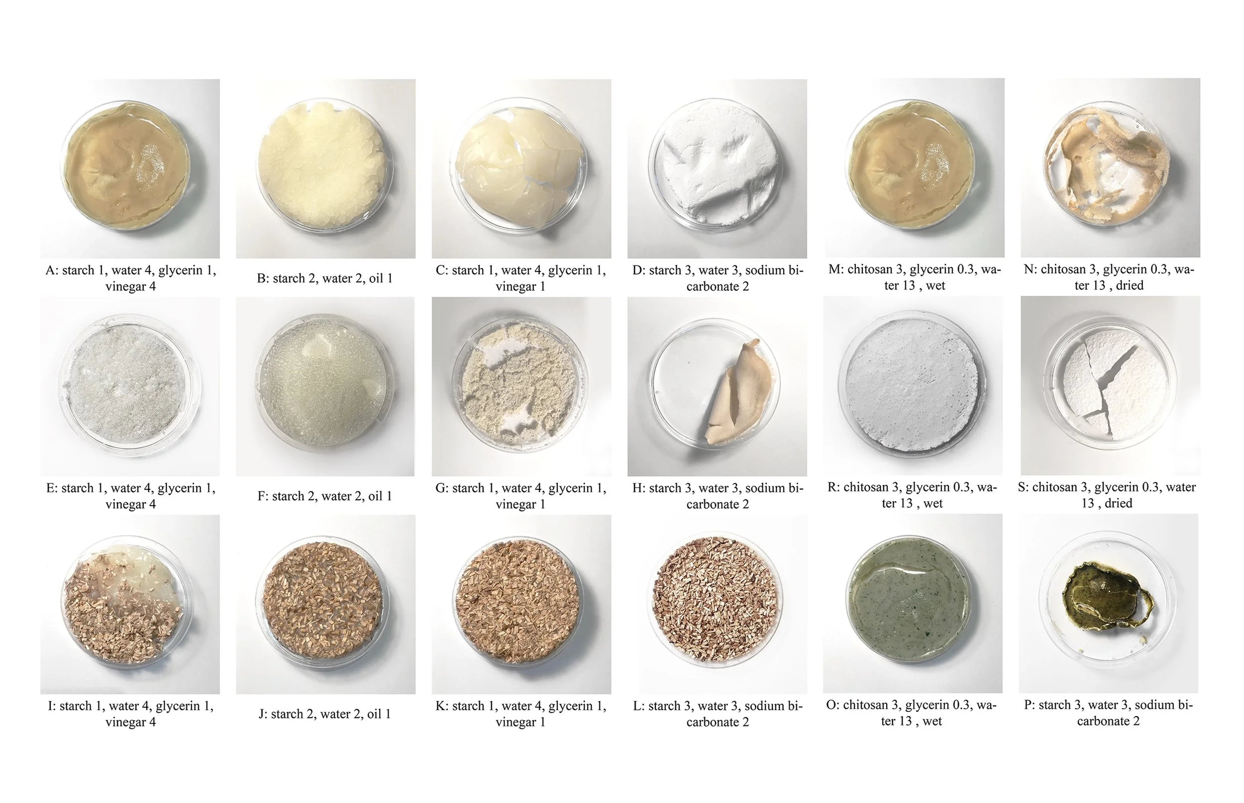 Material samples petri dishes.jpg