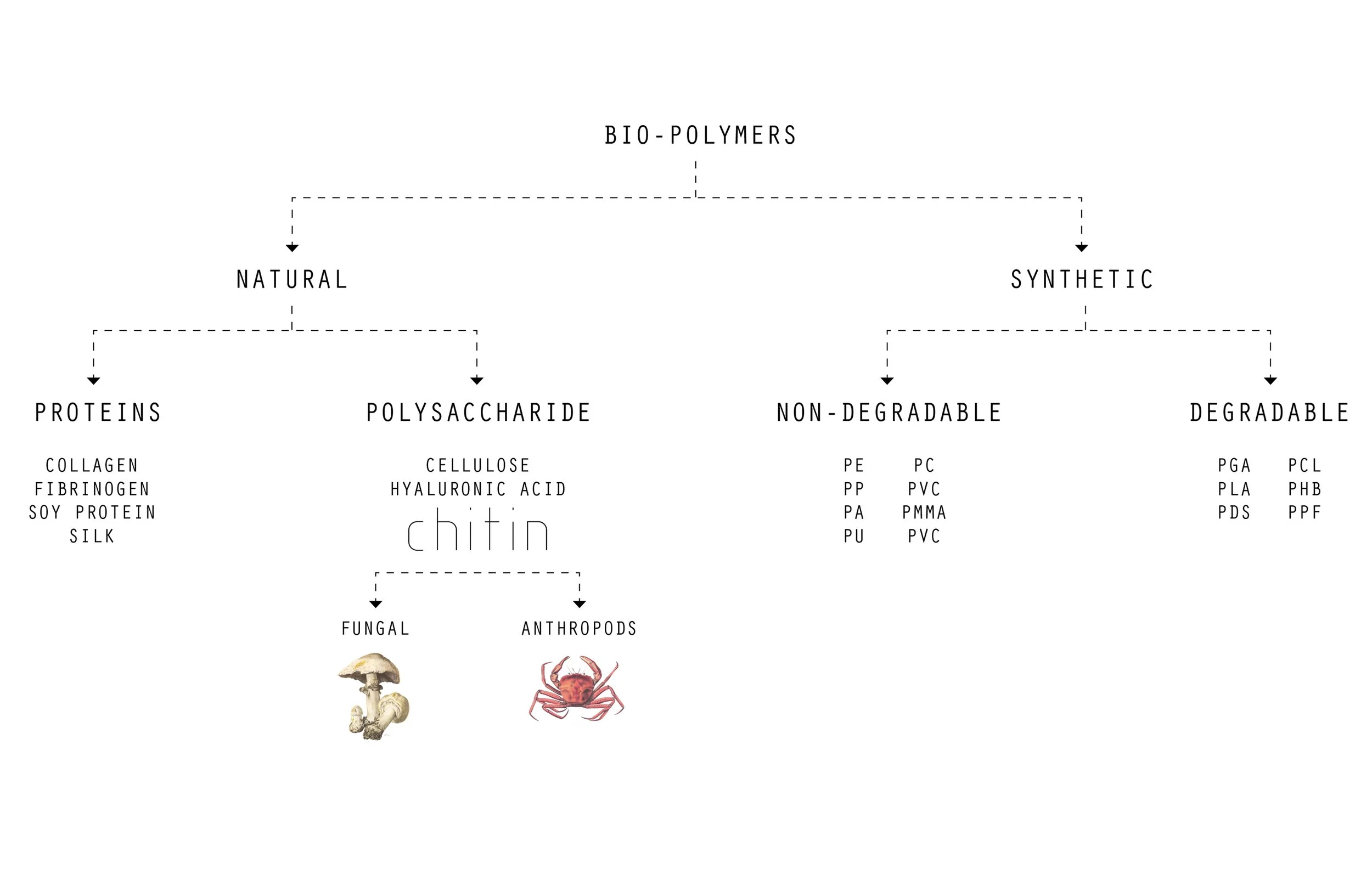 Polymers-diagram.jpg