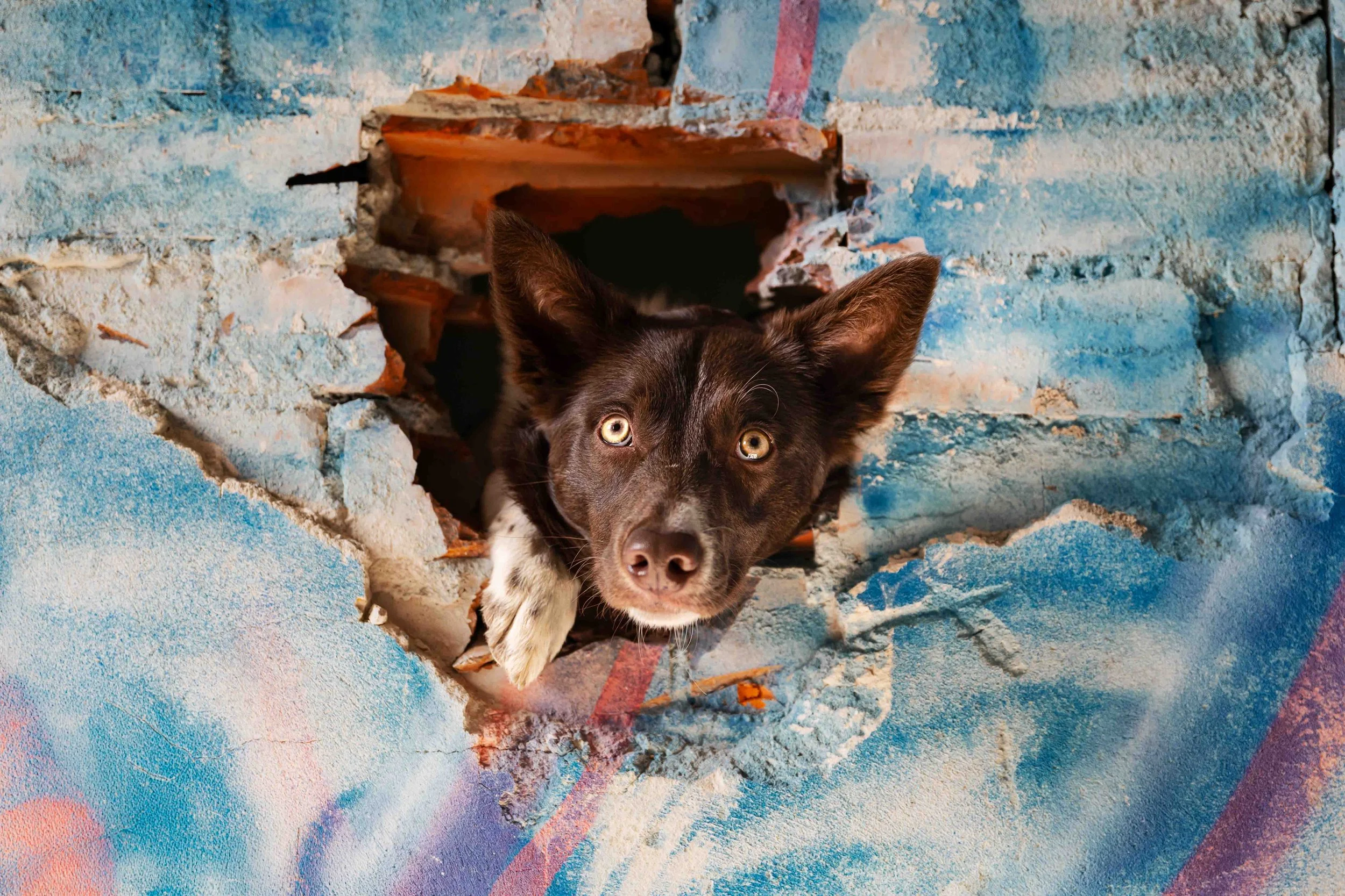 Tweak im Lost Place.jpg