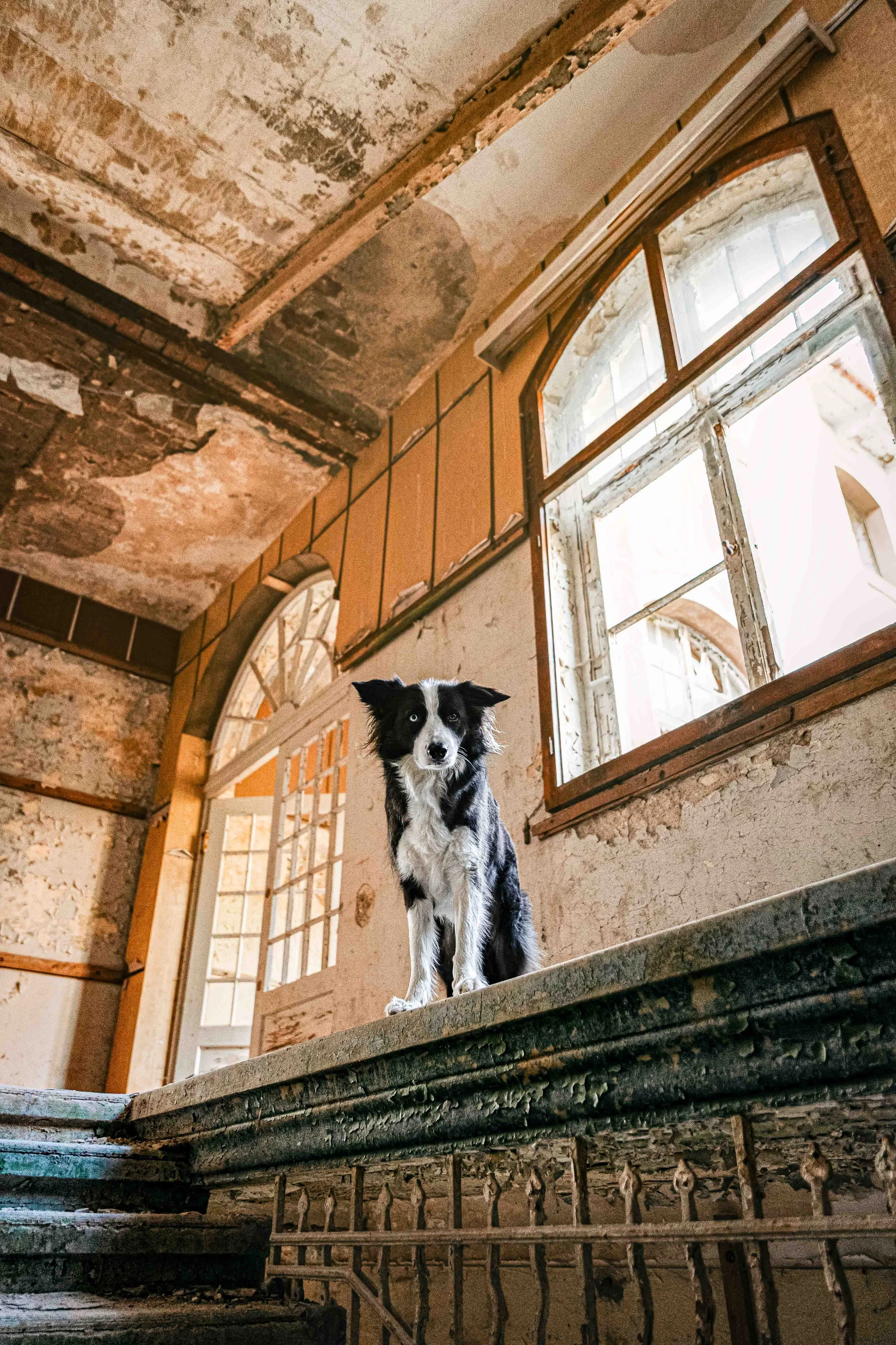 Ohne Logo klein - 1.jpg