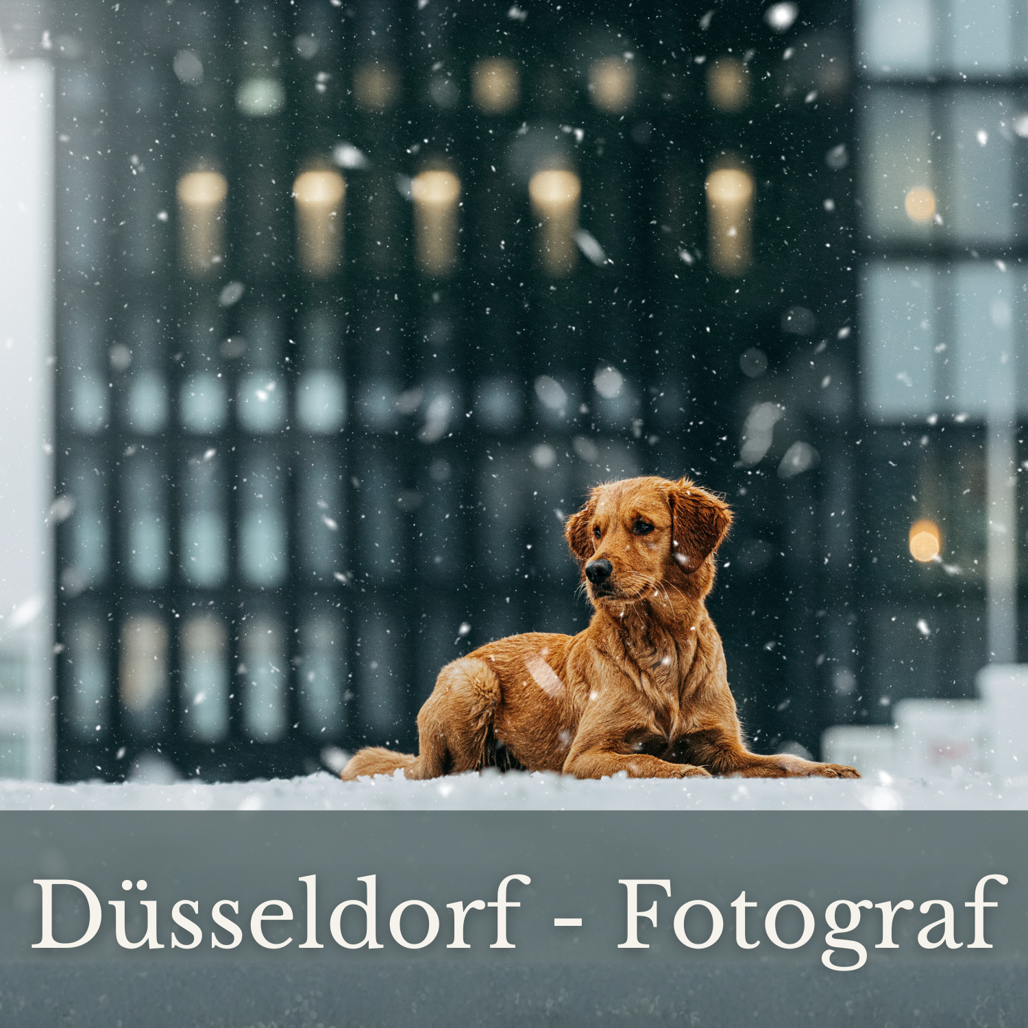 Düsseldorf Medienhafen - Fotograf