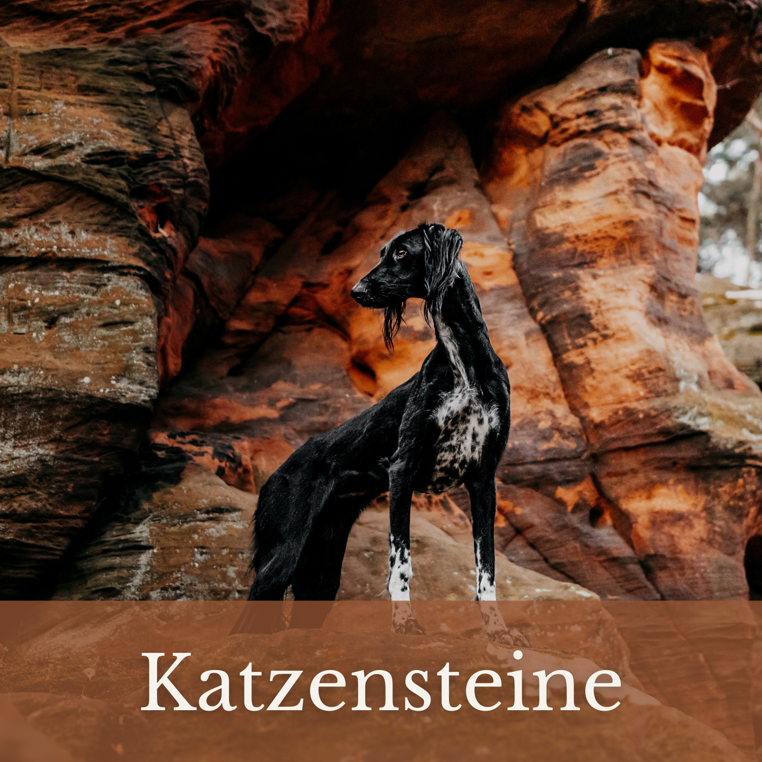 Shooting Katzensteine
