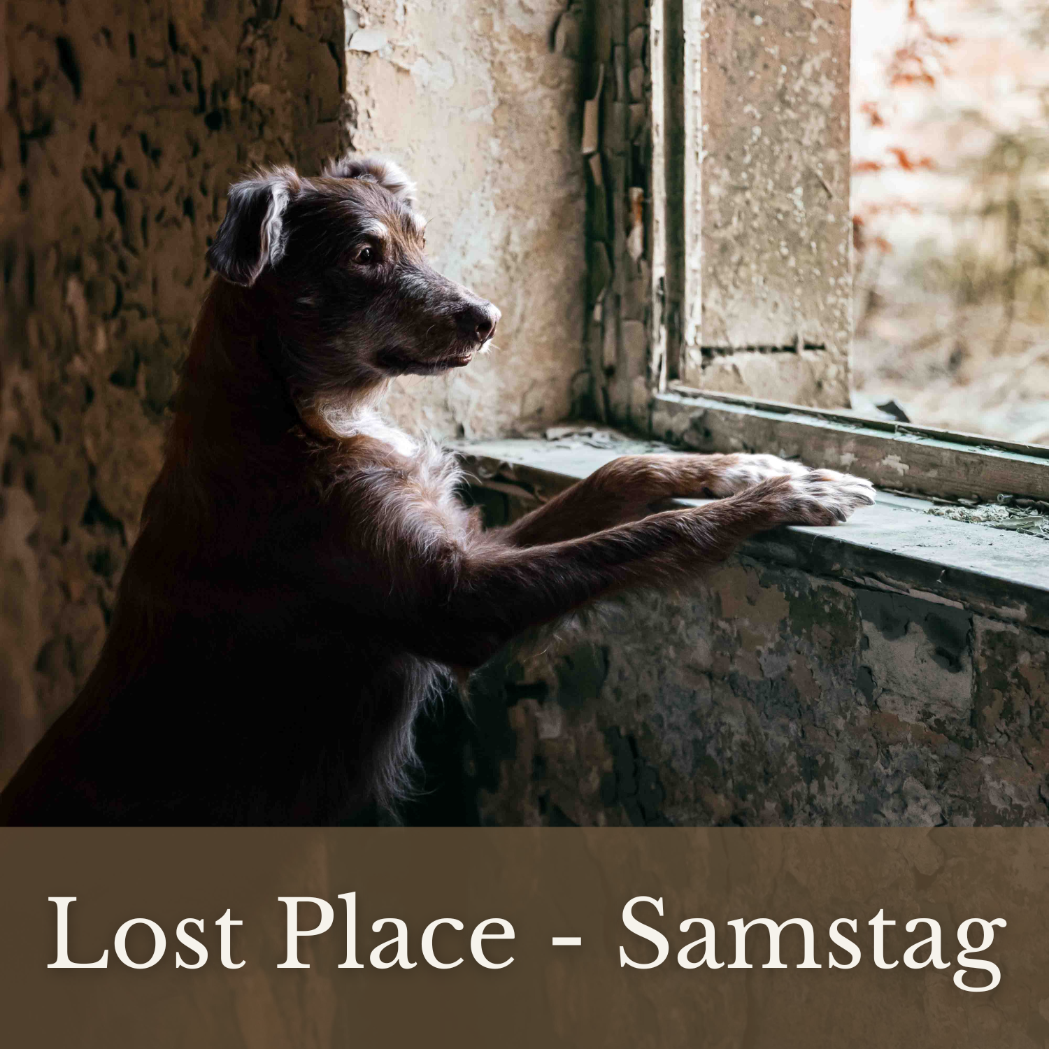 Lost Place 2.0 - Samstag