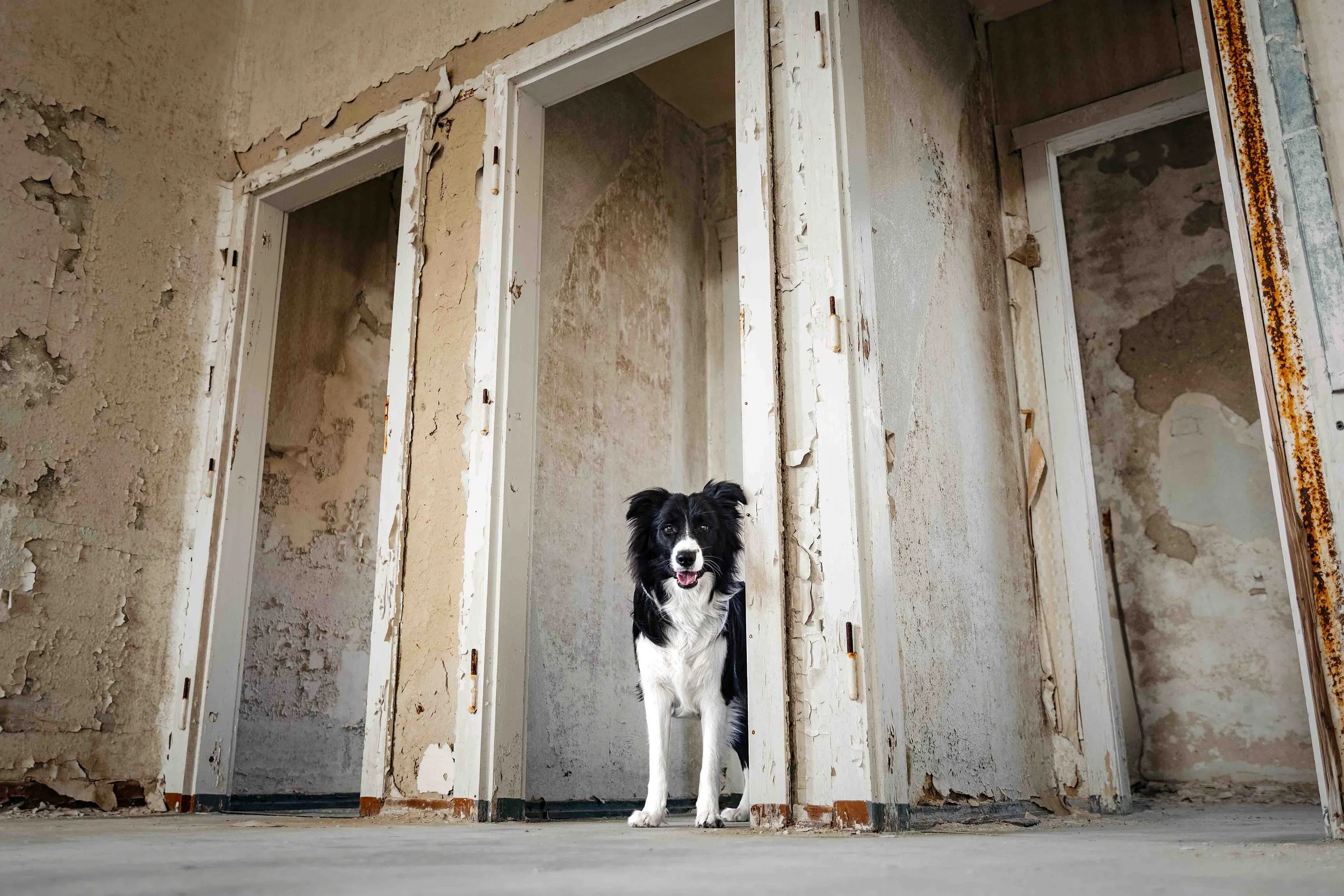 Cody im Lost Place.jpg