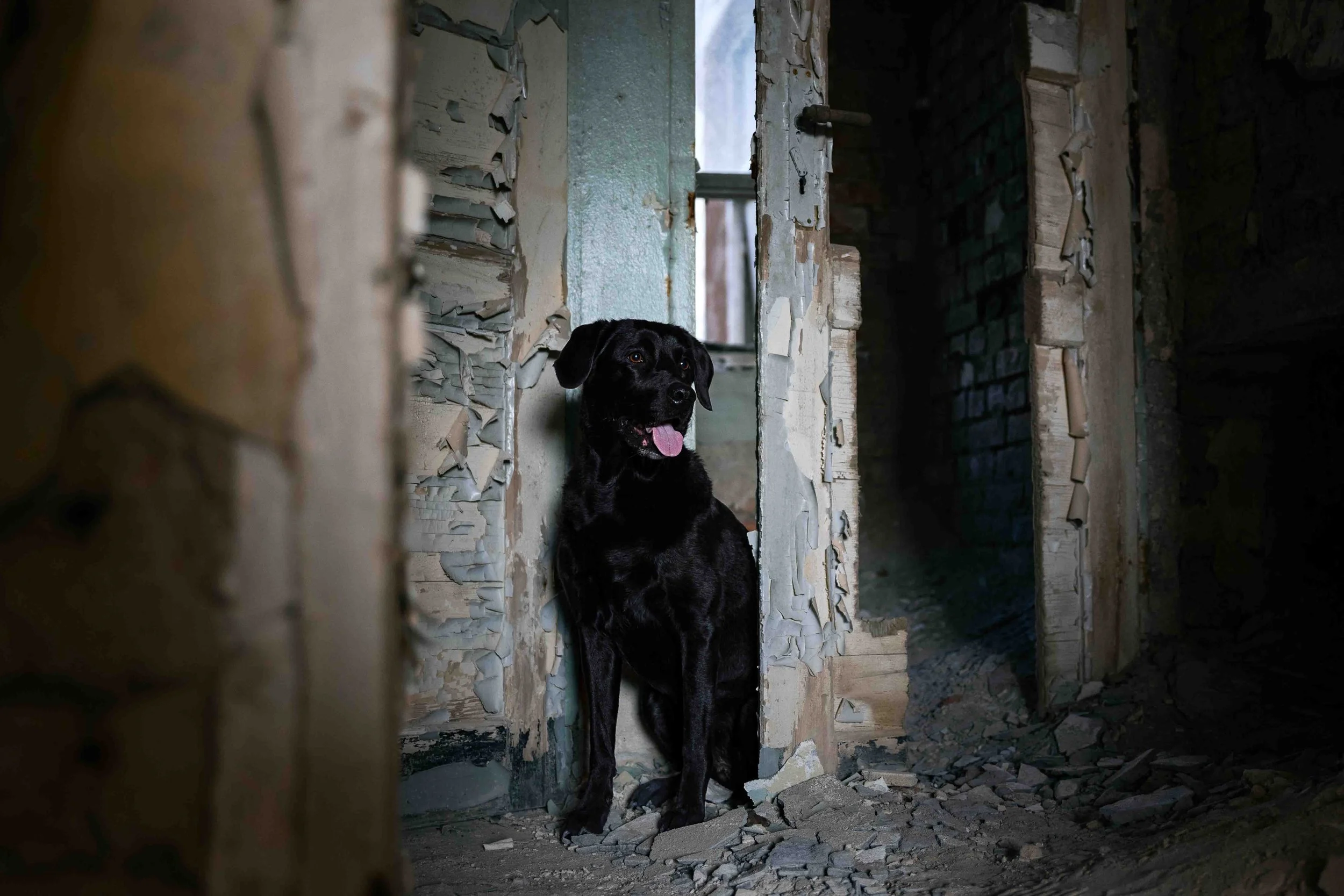 Maja im Lost Place.jpg