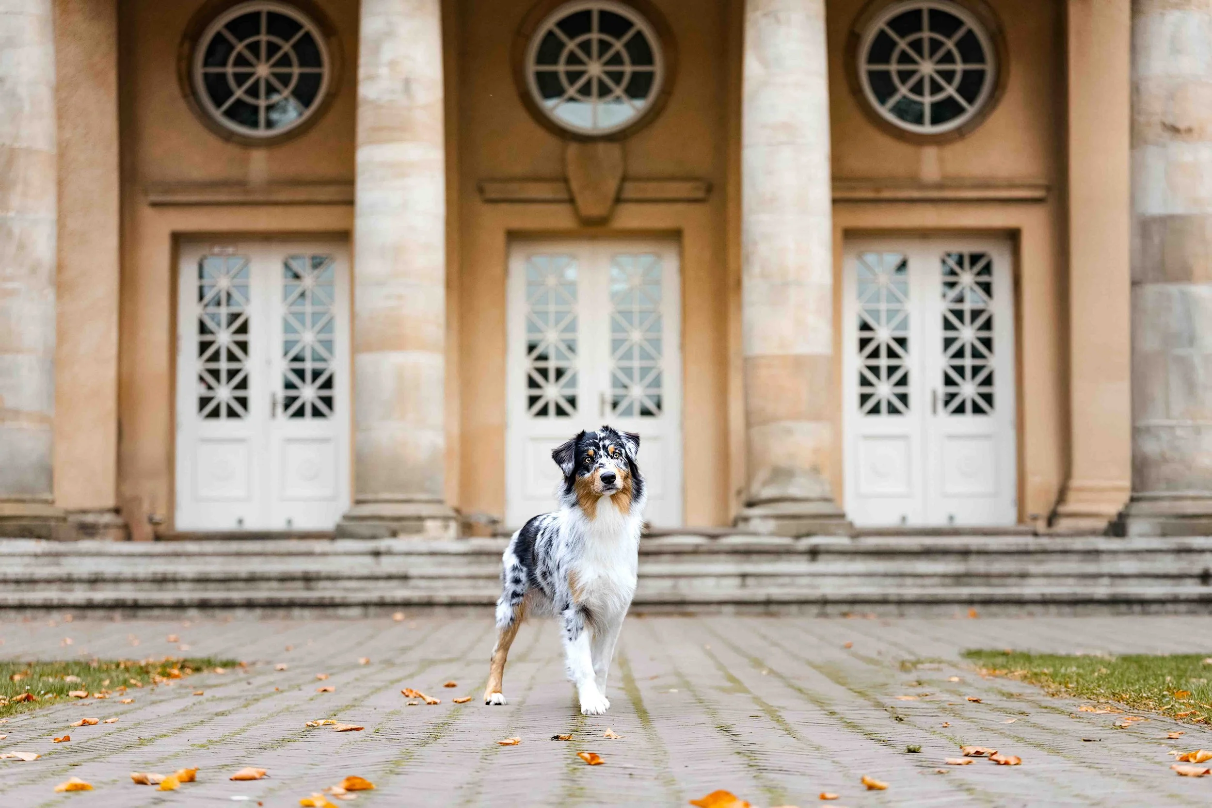 Polly am CAG (2).jpg