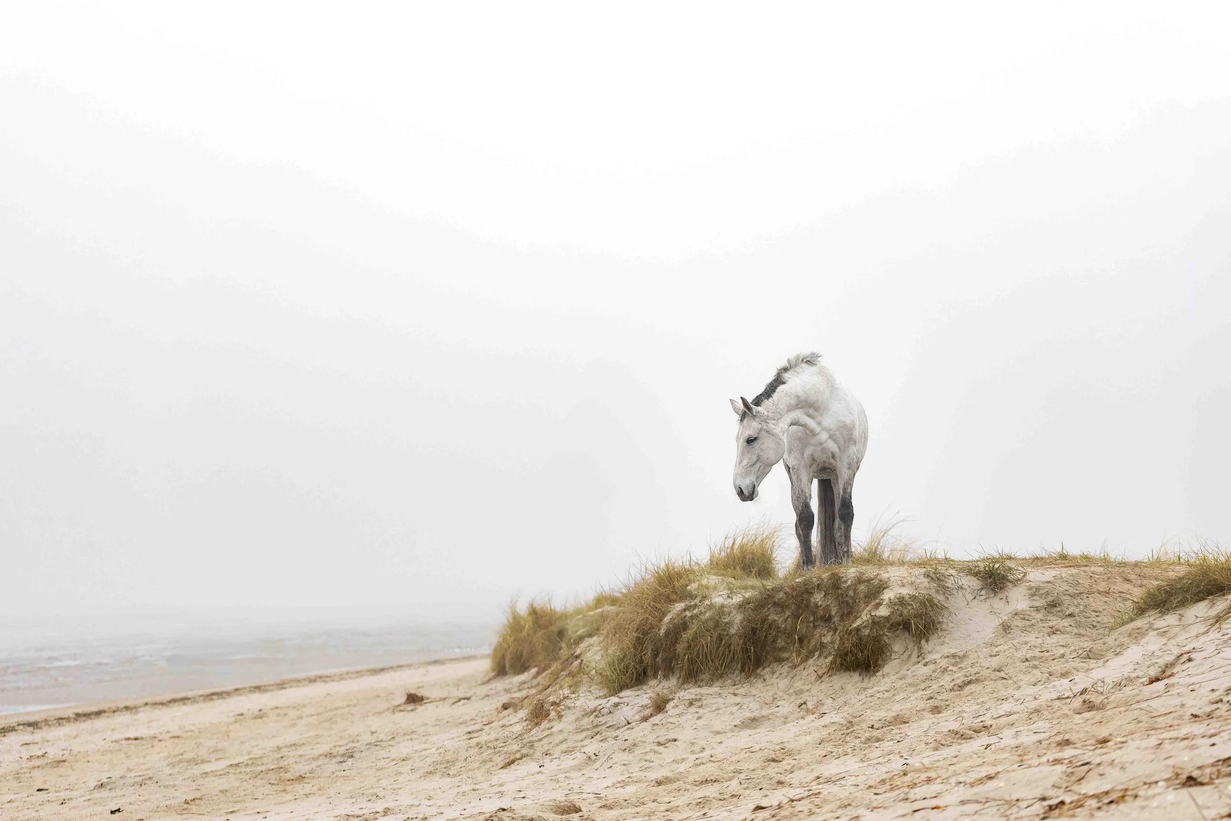 Clara am Strand.jpg
