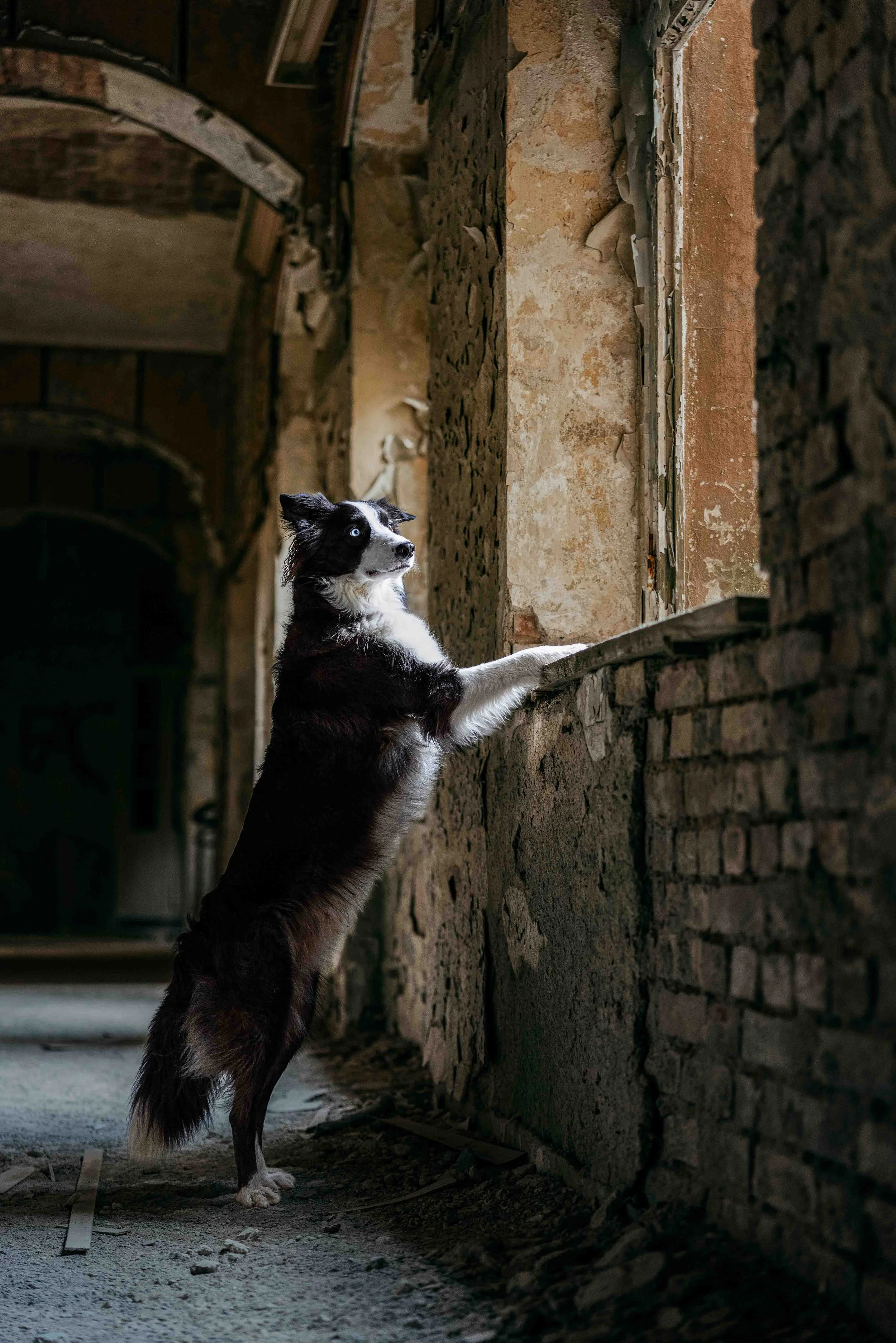 ohne Logo Website.jpg