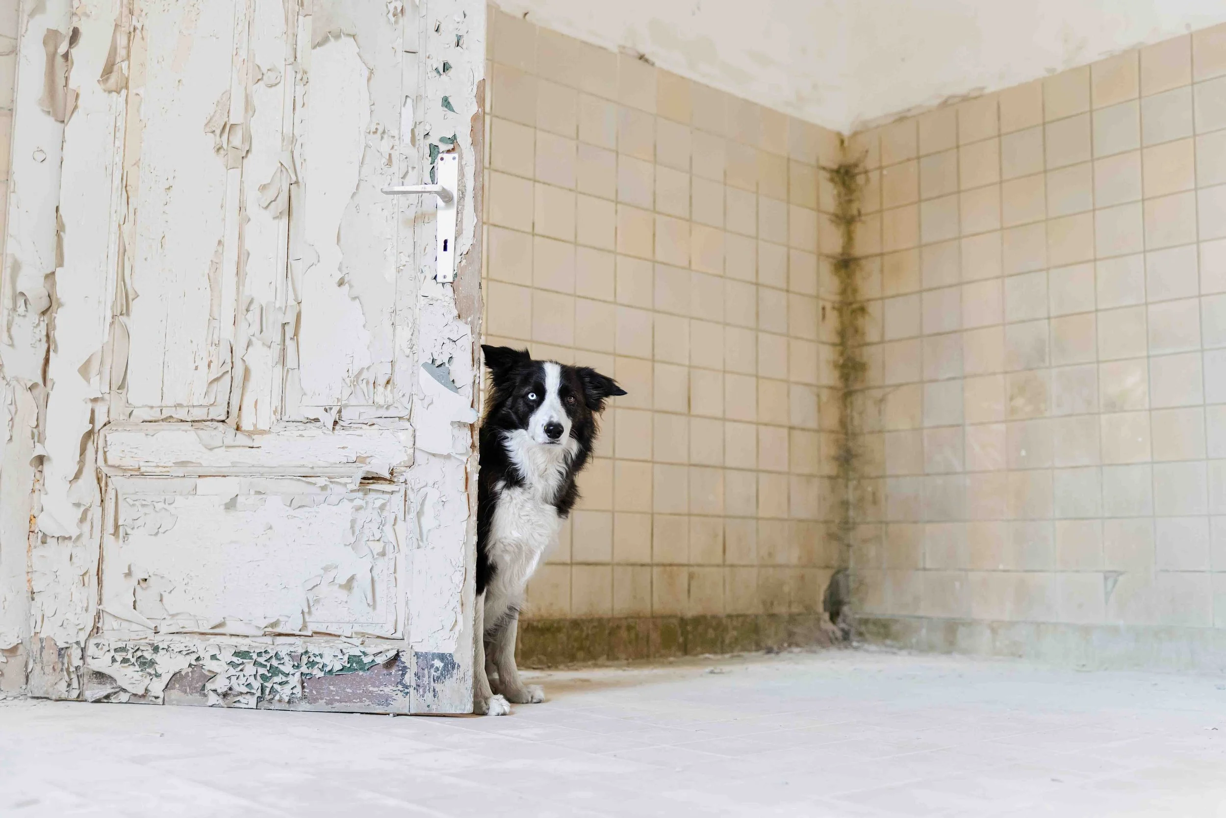 ohne Logo Website 1.jpg