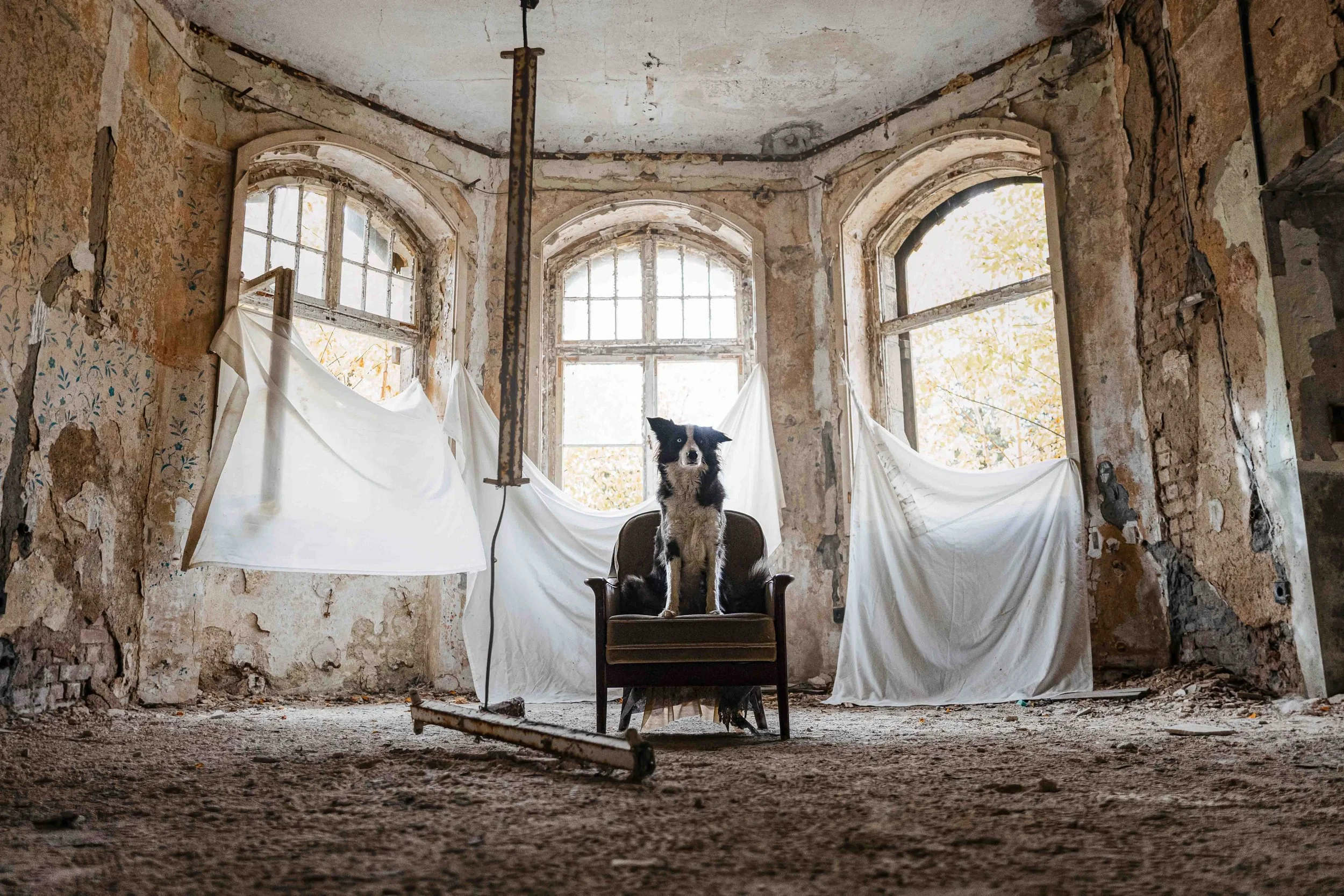 Ohne Logo klein - 2.jpg