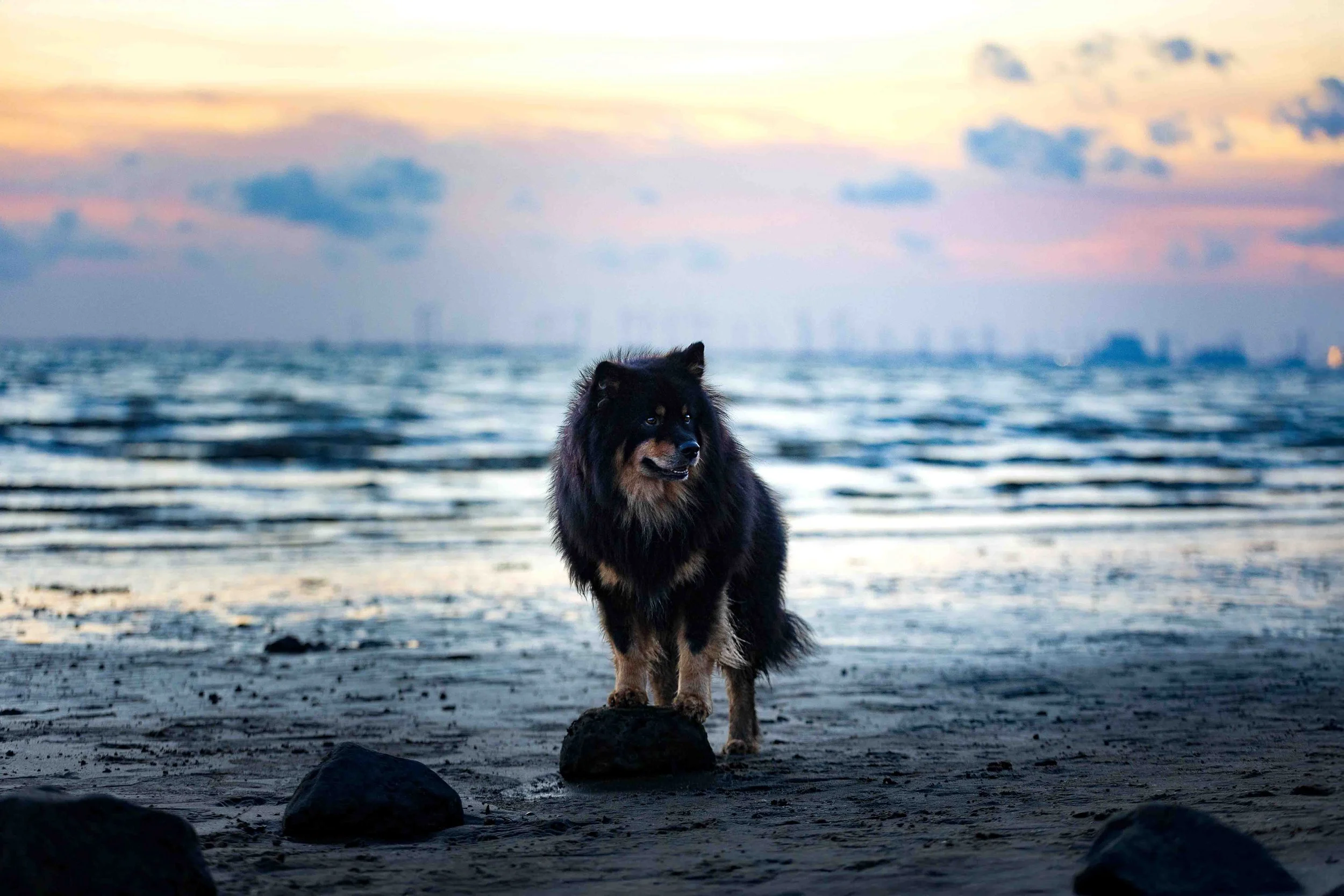 Keke an der Knock (2).jpg