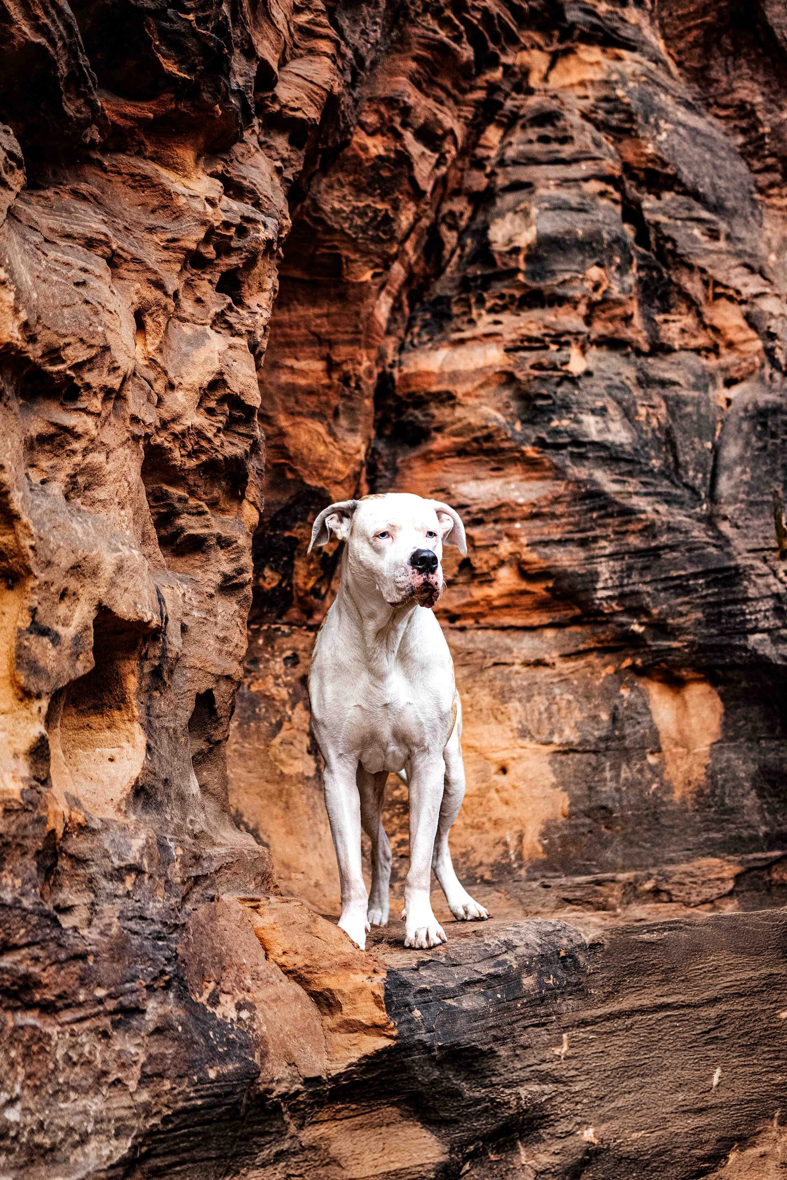 Flash bei den Katzensteinen.jpg