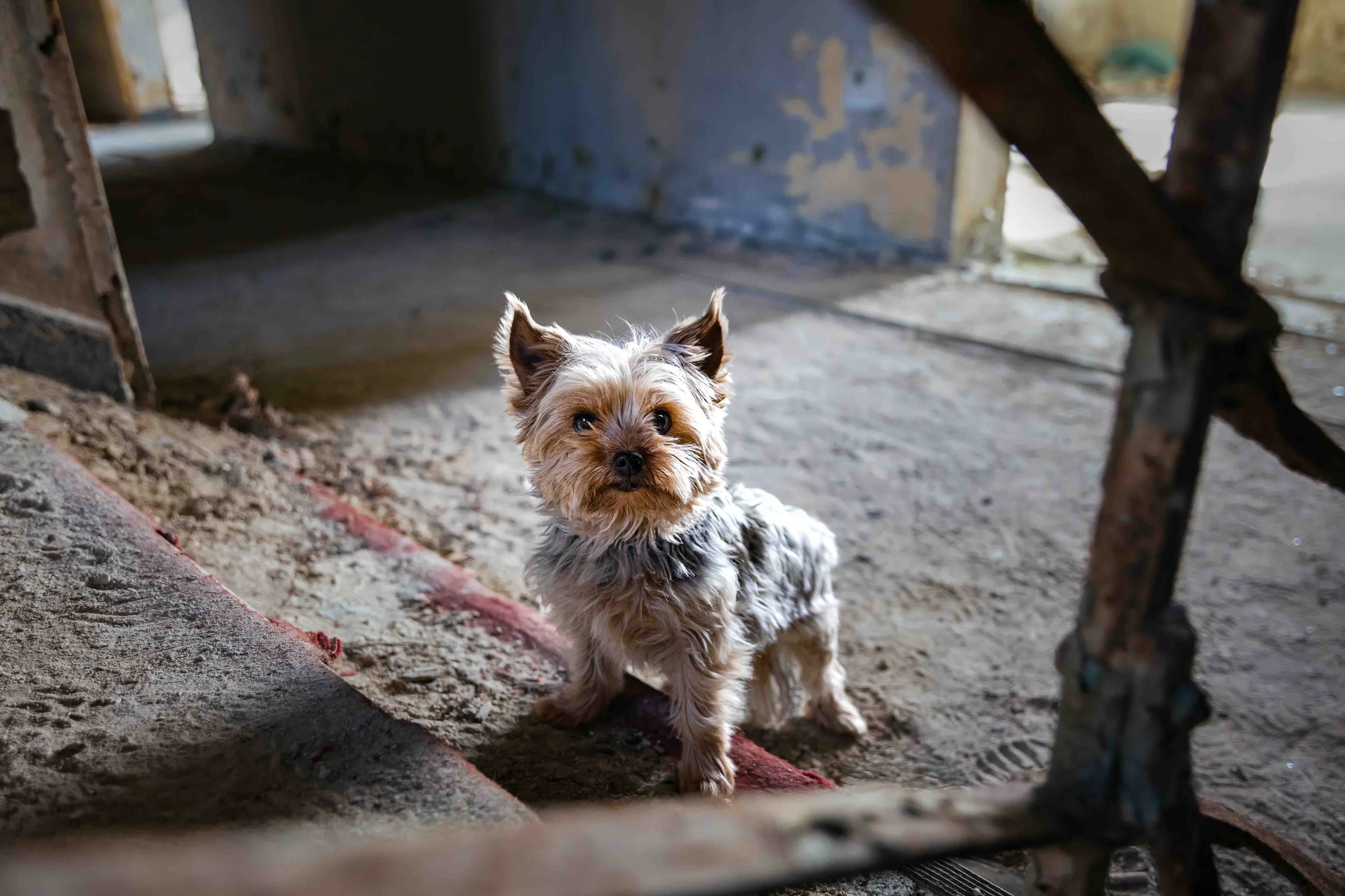 Emi im Lost Place.jpg