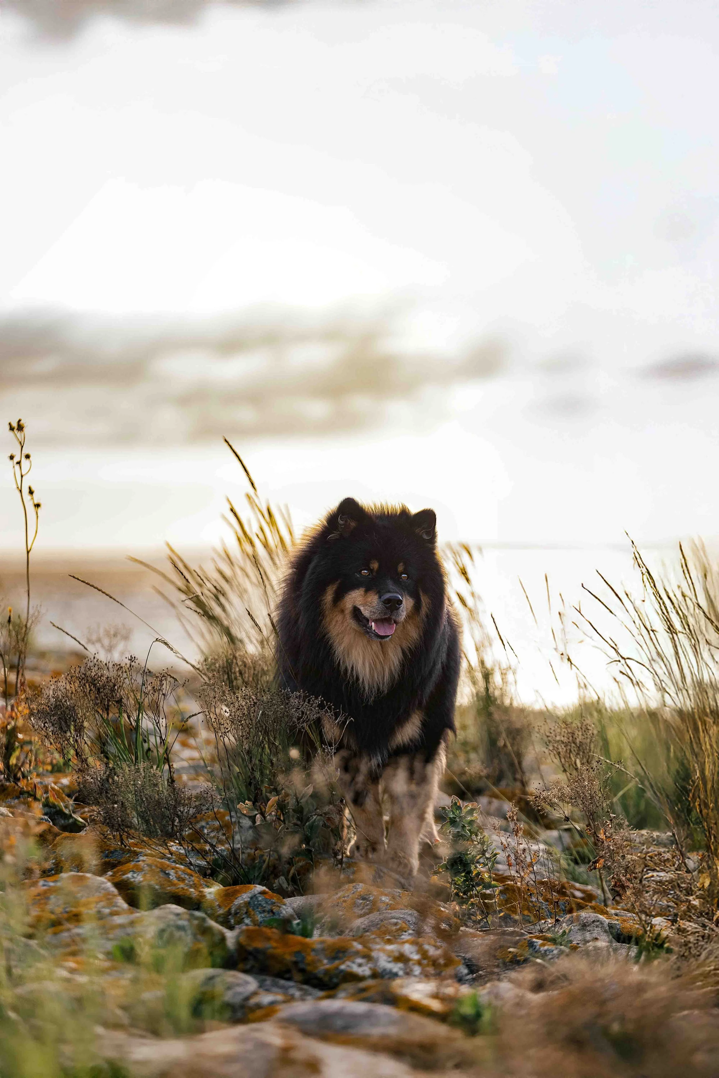 Keke an der Knock (1).jpg